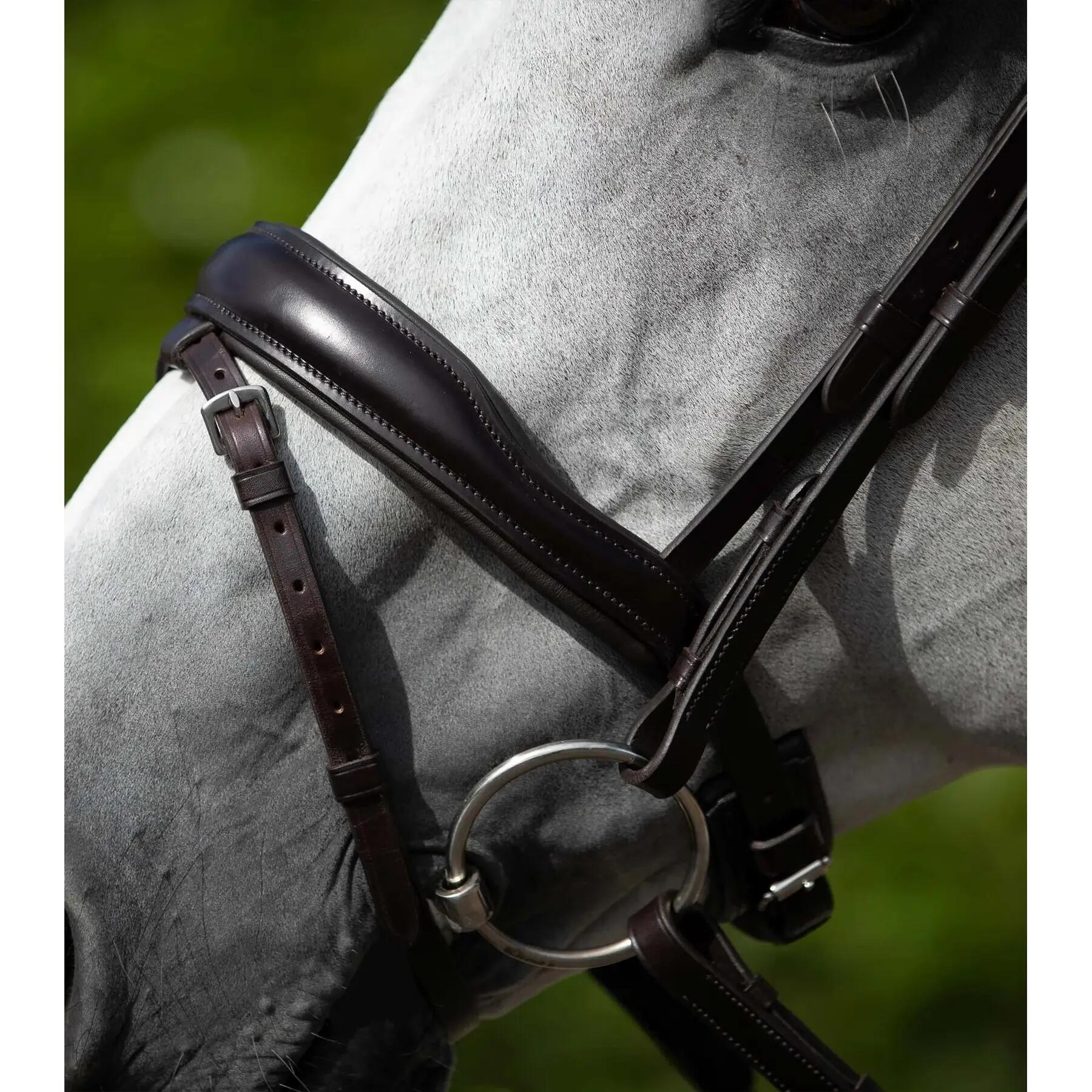 Uzda anatomiczna z nachrapnikiem kombinowanym Premier Equine Rizzo