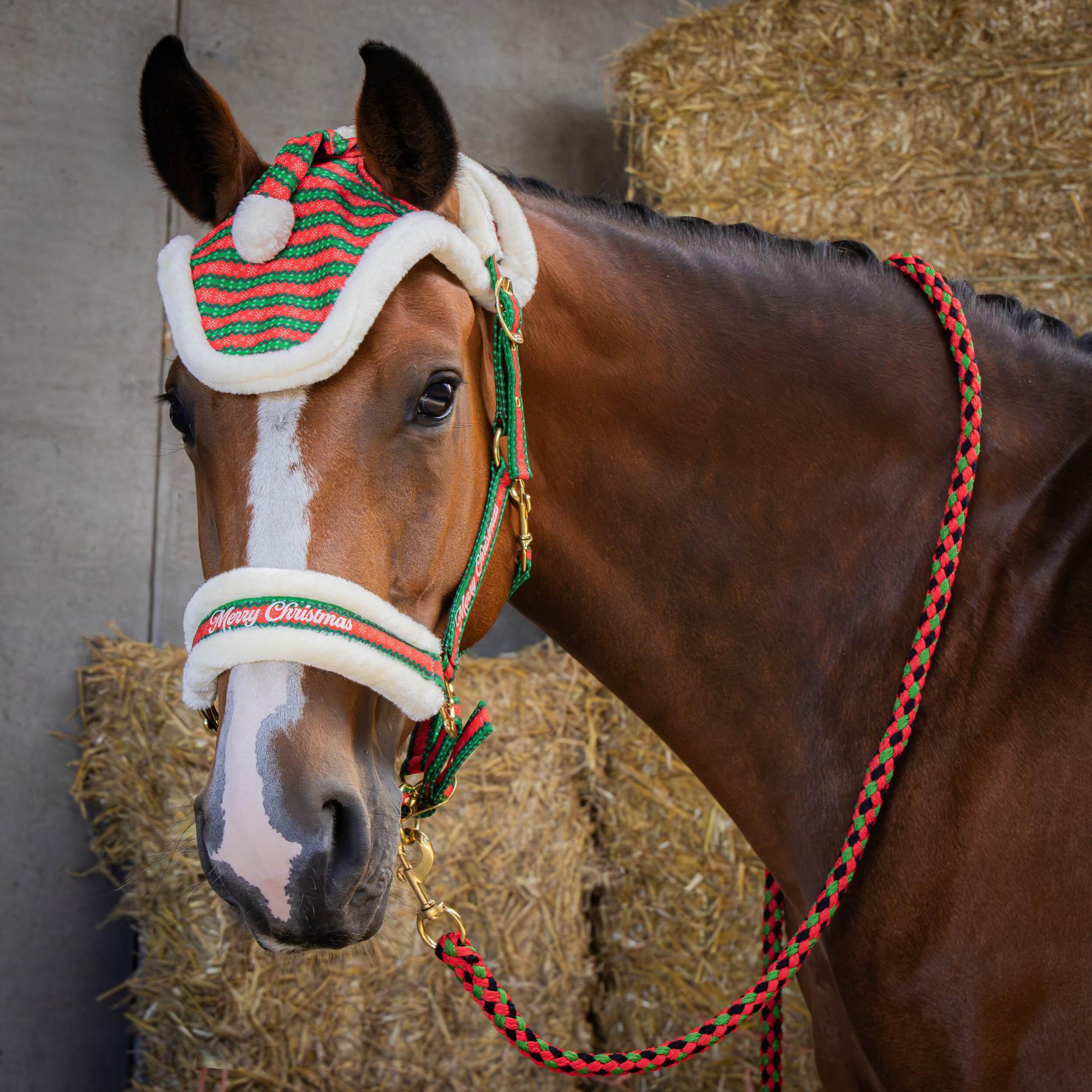 Zestaw ogłowia, lonży i czaprak dla konia Harry's Horse Christmas