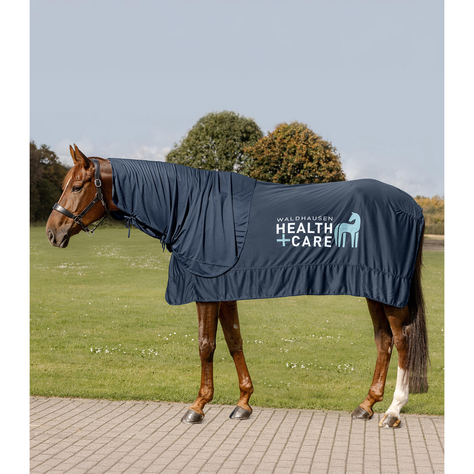 Kocyk dla koni Waldhausen Health + Care Ice Layer