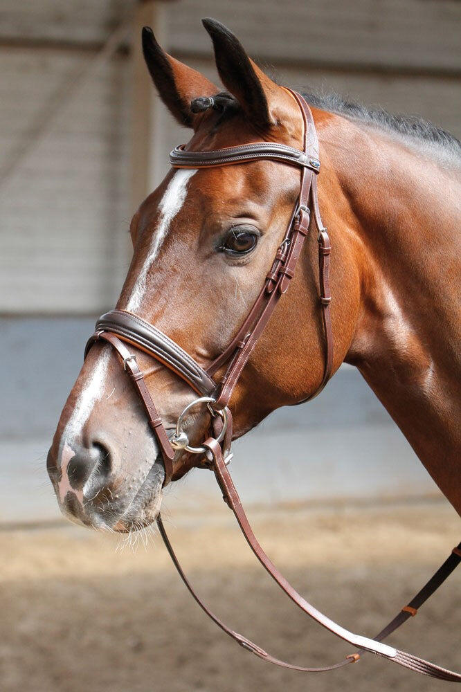 Uzda dla koni Harry's Horse Soft