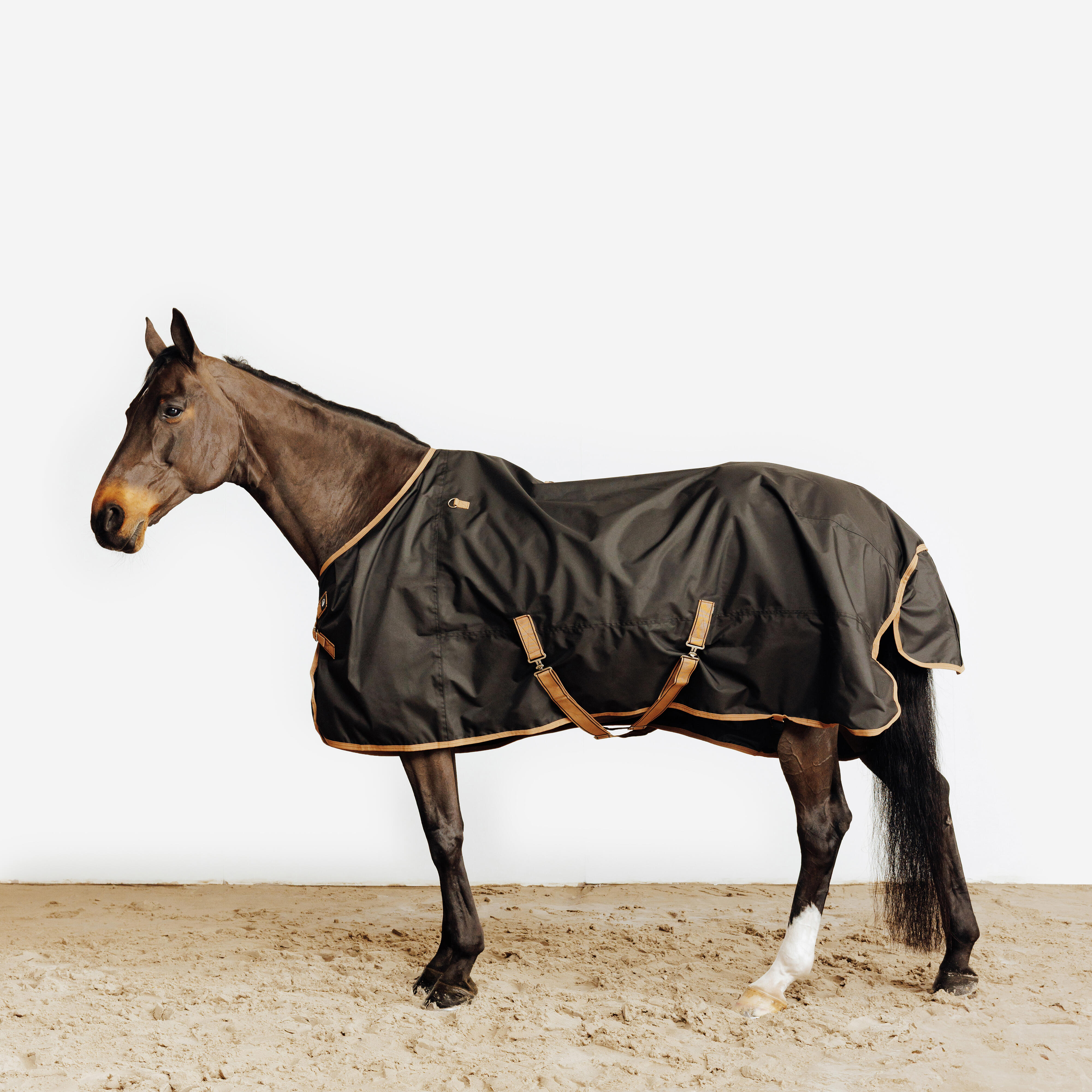 Derka padokowa wodoodporna dla konia i kuca Allweather 0 g czarno-brązowa
