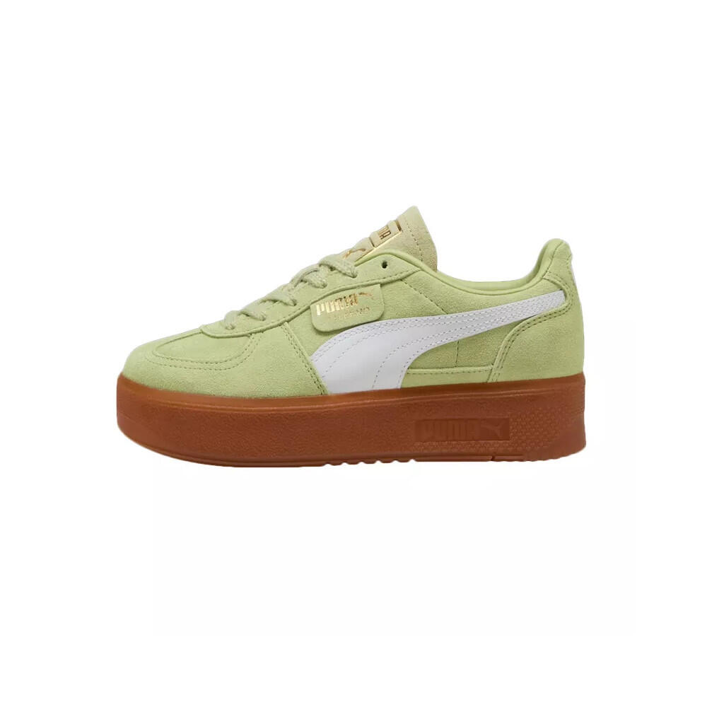 Trenerzy damscy Puma Palermo Elevata