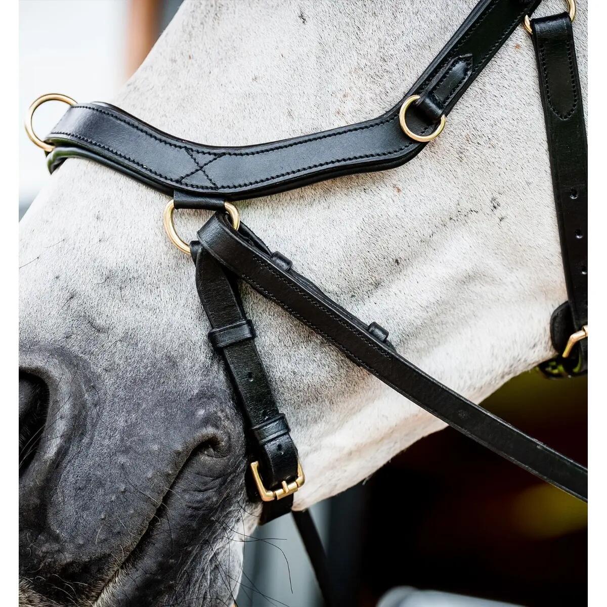 Anatomiczna uzda jeździecka Horseware Micklem Multi