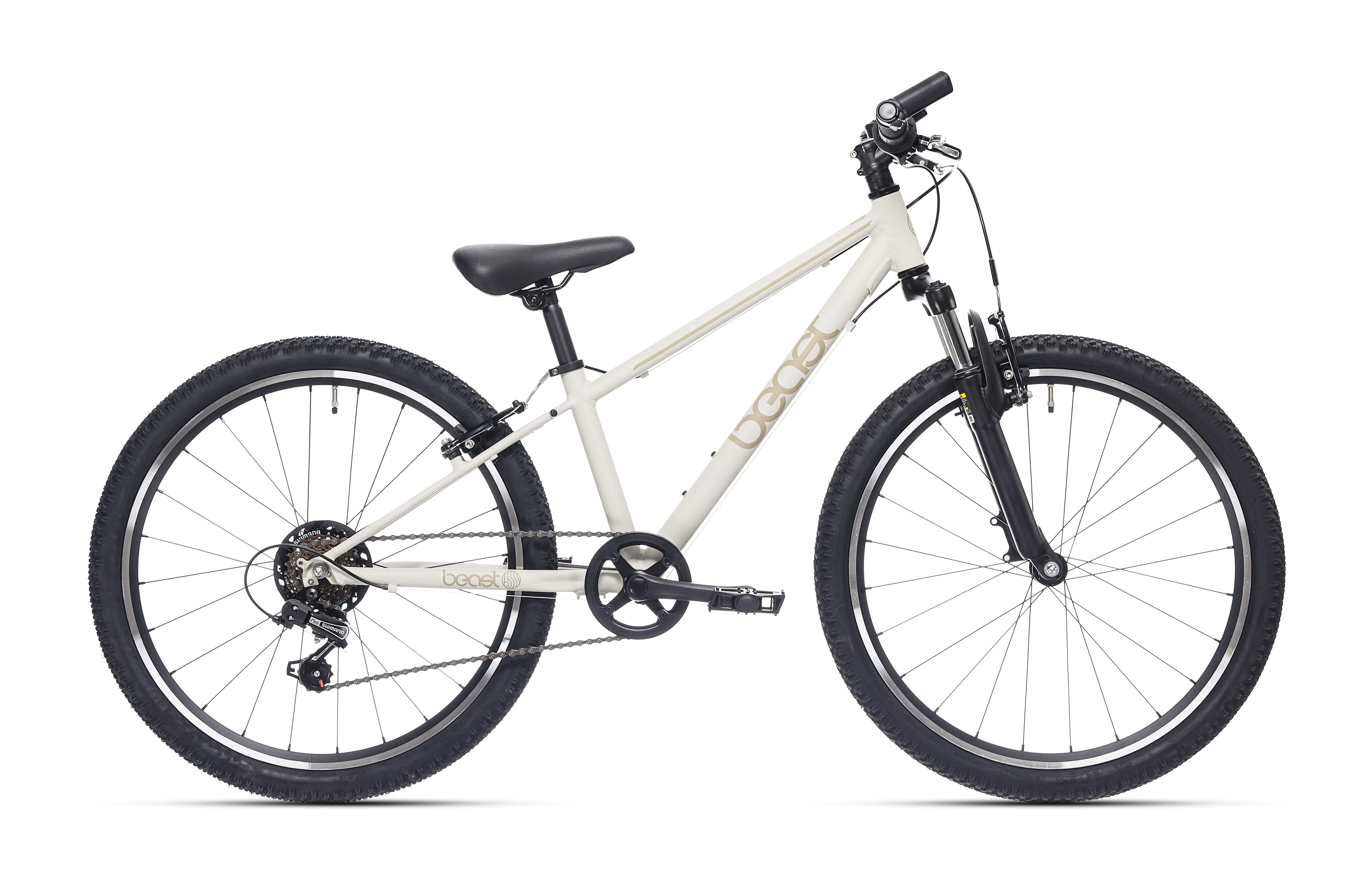 Rower dziecięcy Bikefun Beast 24 cale, 6 biegów Shimano, hamulce V, szary