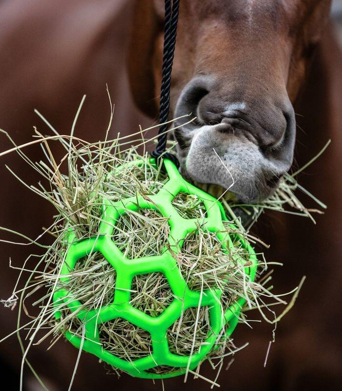 Waldhausen Hooibal - Groen