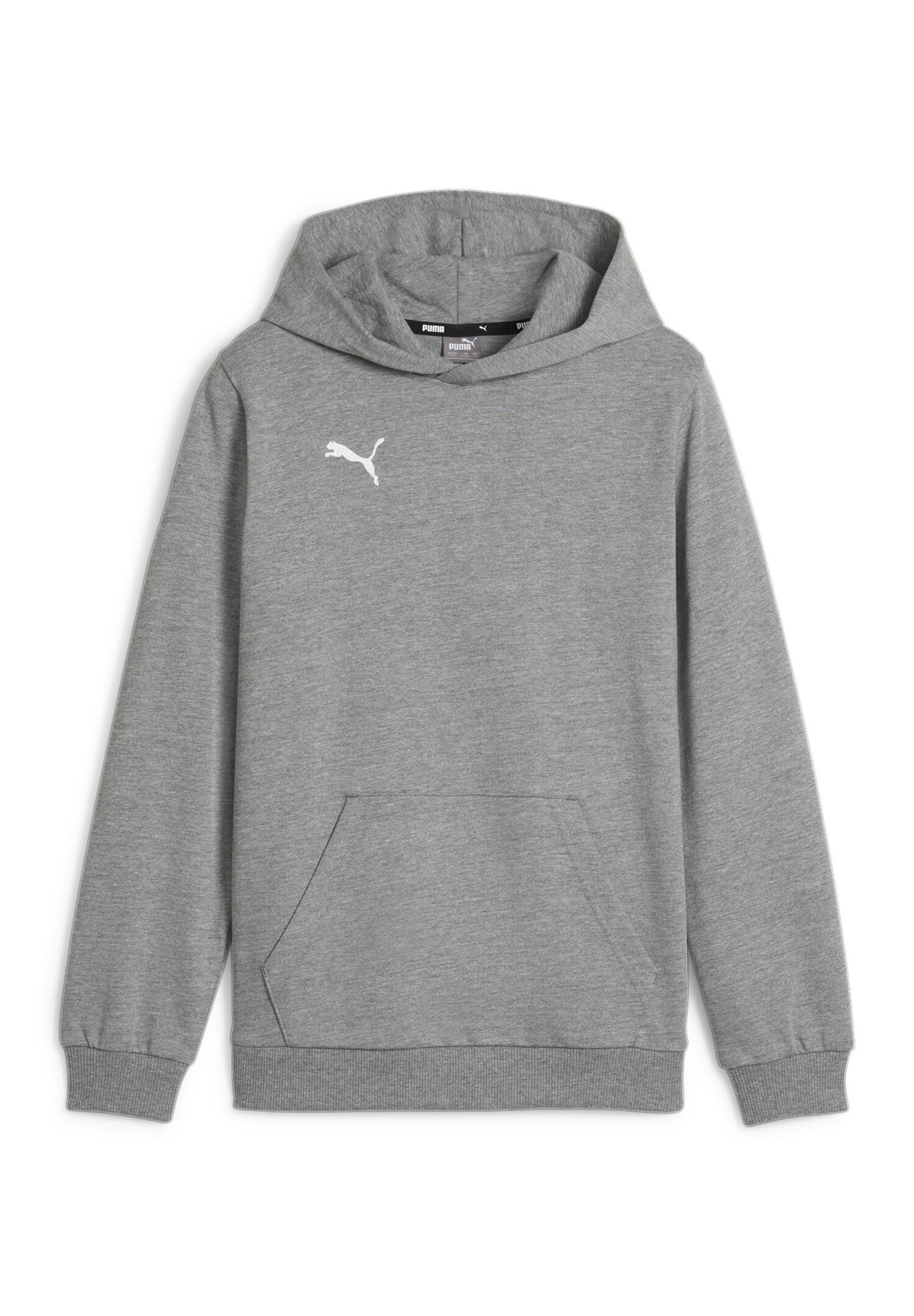 Bluza dla dzieci Puma Team Goal Casuals Hoddy
