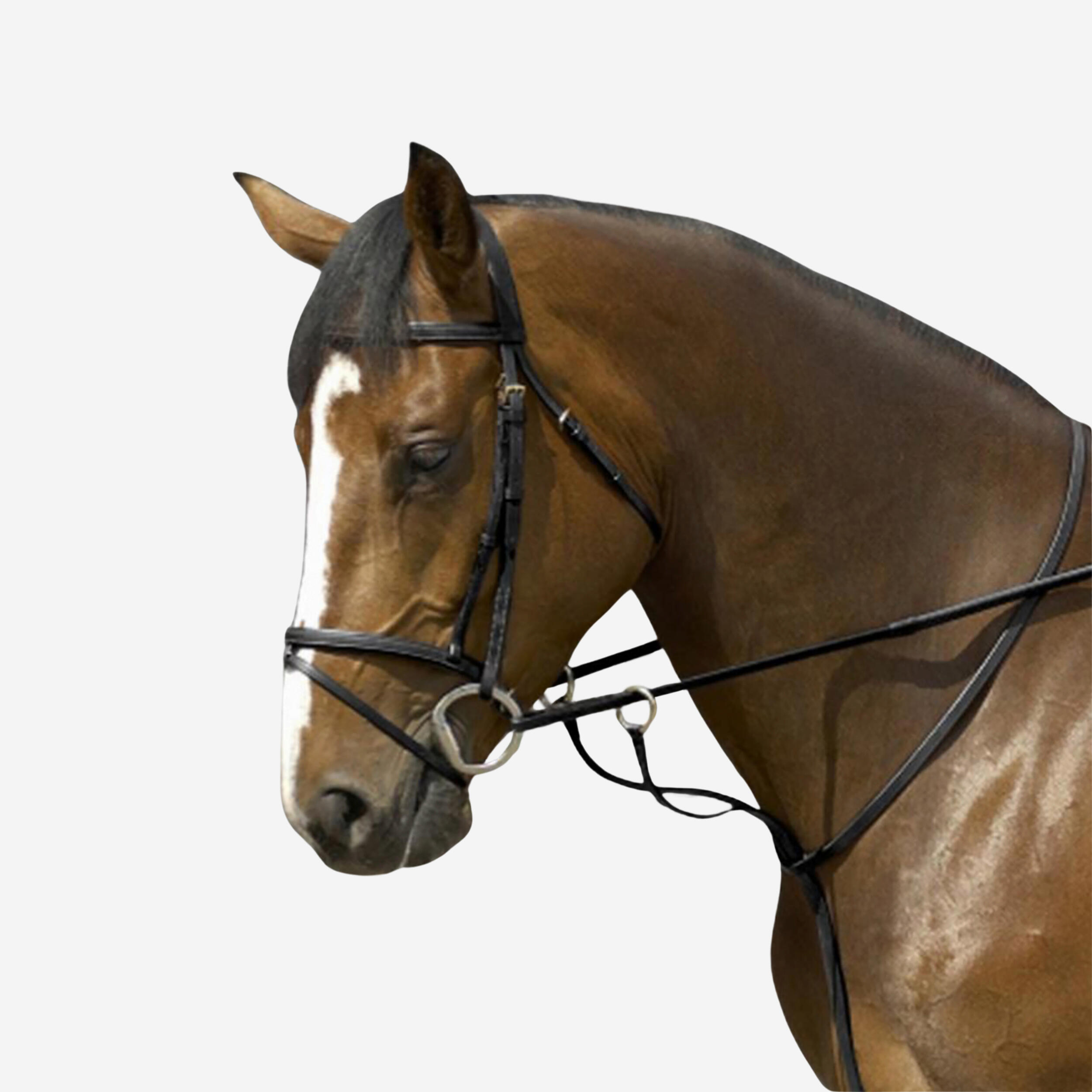 Wytok Fouganza Schooling