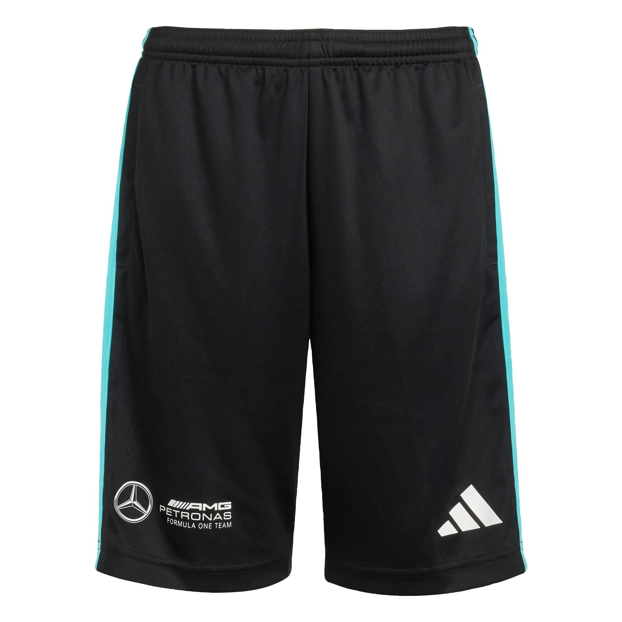 Szorty Mercedes - Amg Petronas Formula One Team Dna