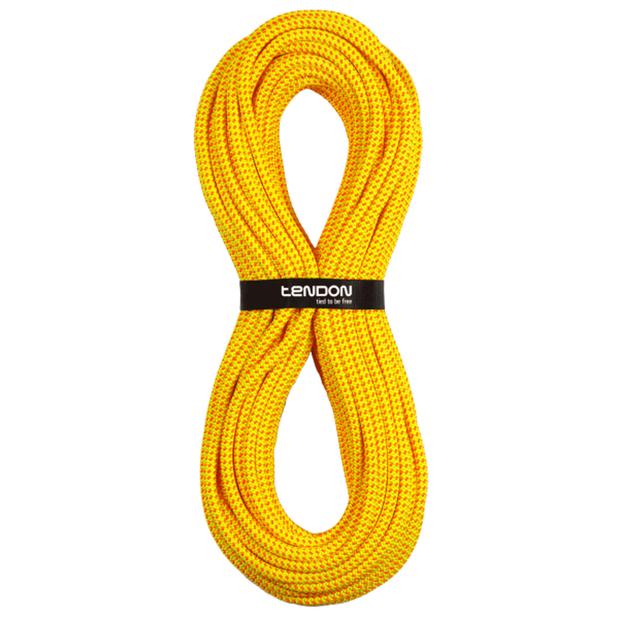 Standardowa lina Tendon Ambition 10.2 Tefix