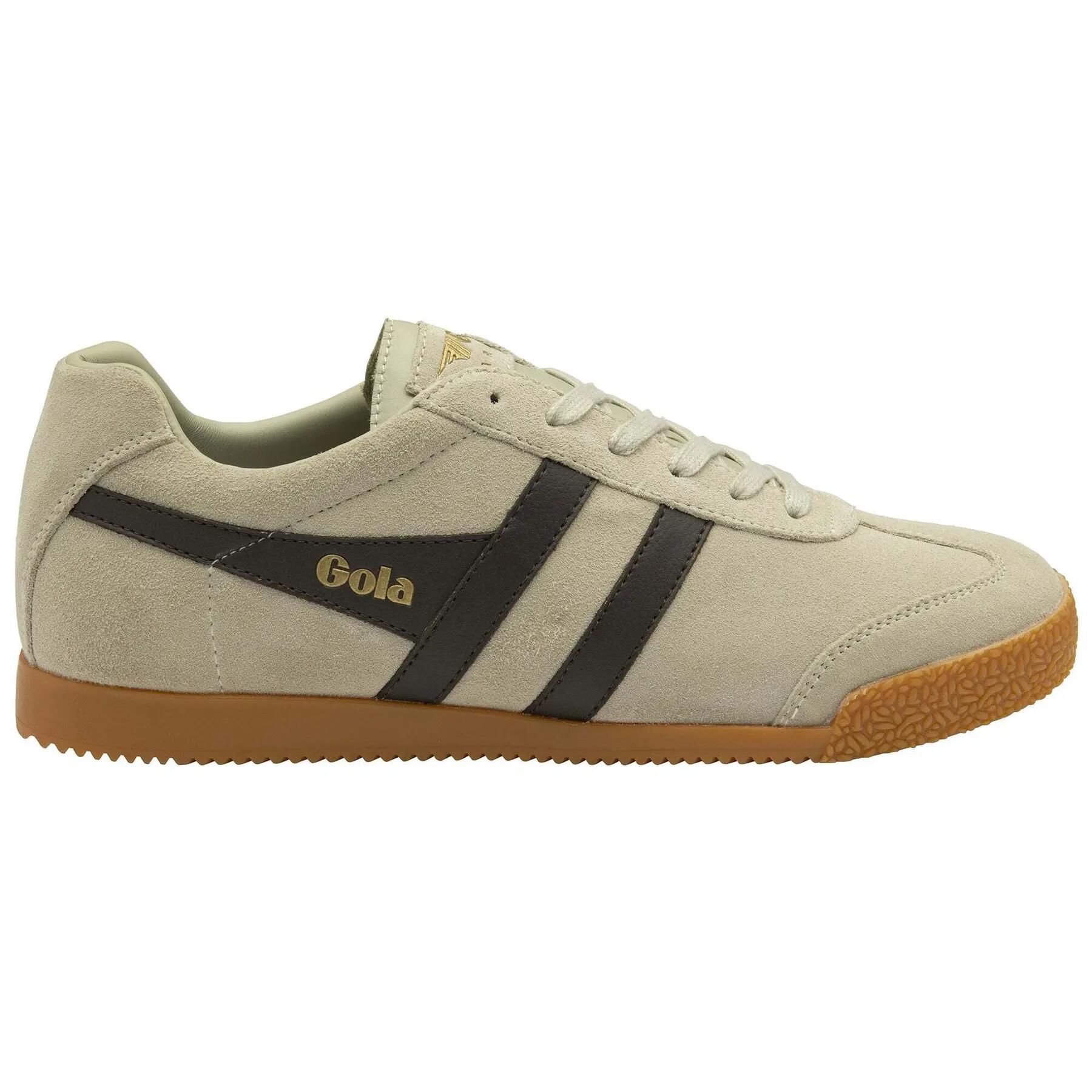 Trenerzy Gola Harrier Suede