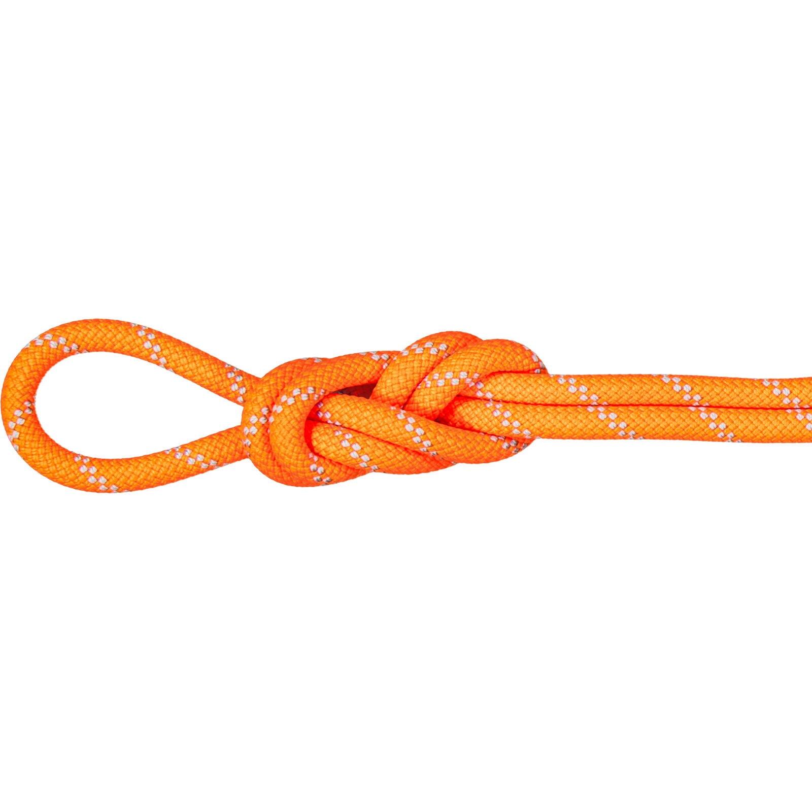 Lina wspinaczkowa MAMMUT 9.5 Alpine Dry Rope pomarańczowa