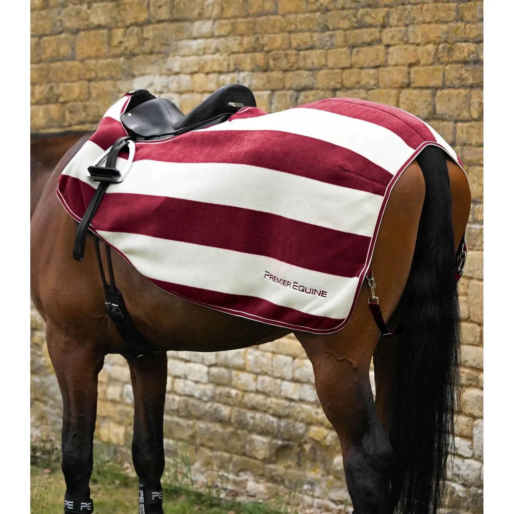 Derki dla koni Premier Equine Vellus
