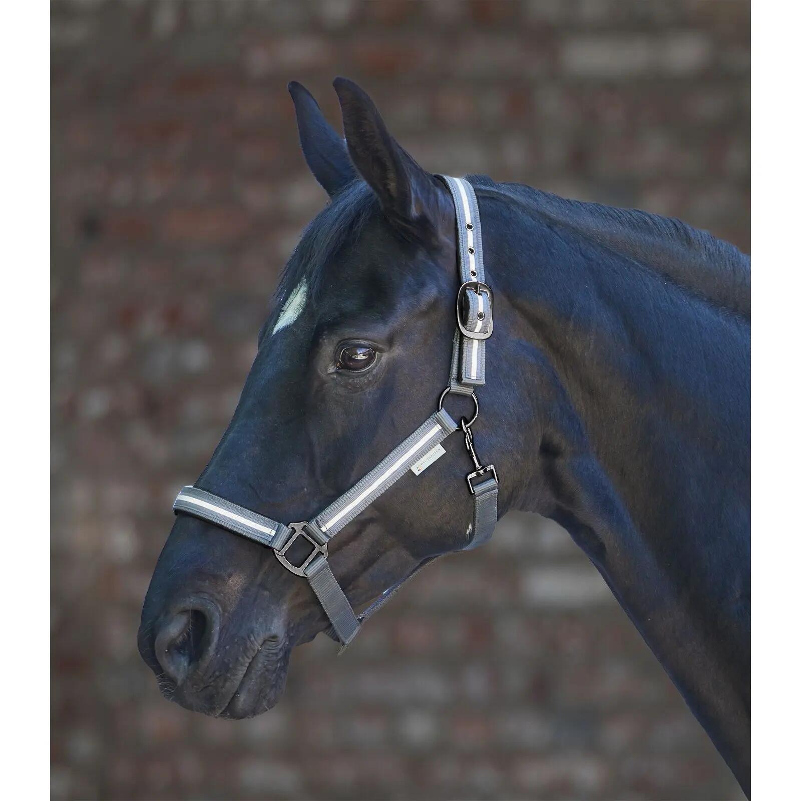 Munsztuk dla kuca Waldhausen Reflex Stripe