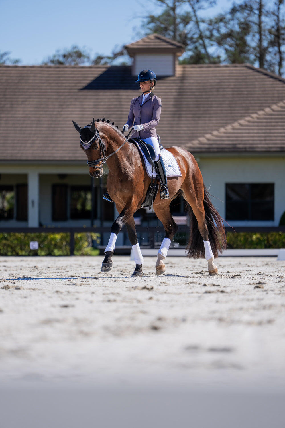 Mata ujeżdżeniowa dla koni Equestrian Stockholm Modern