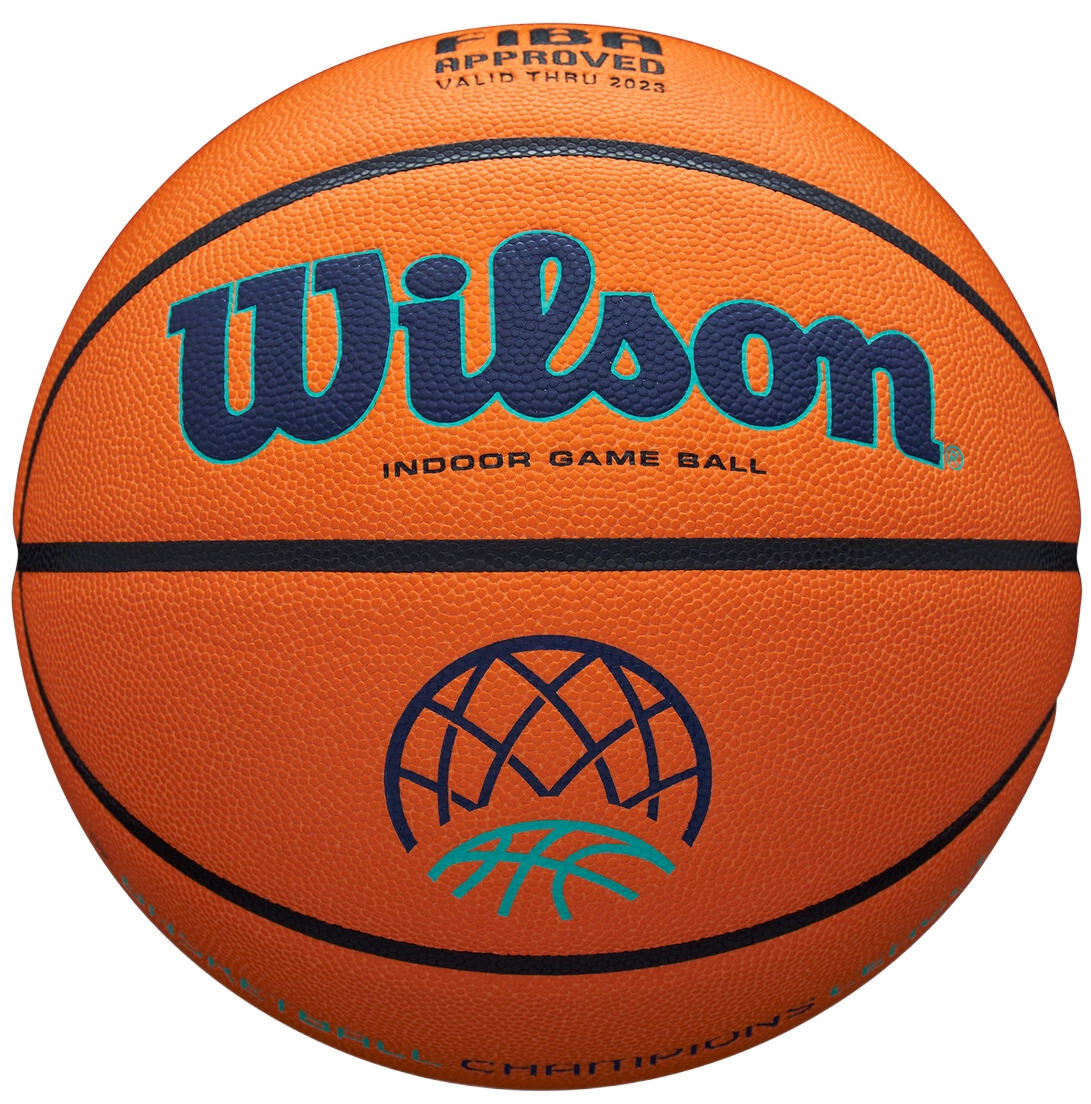 Piłka Wilson EVO NXT