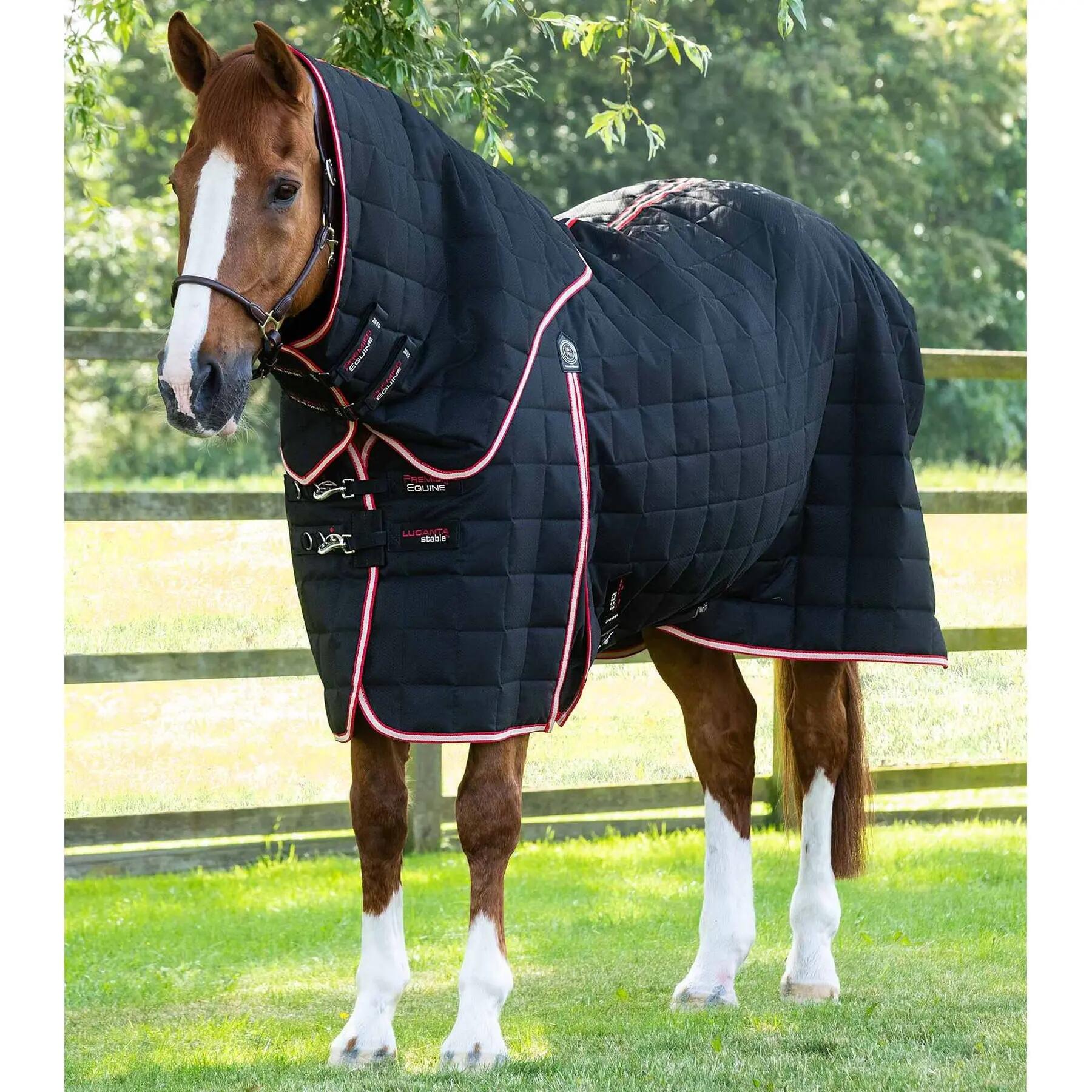 Derka stajenna dla koni z osłoną szyi Premier Equine Lucanta 200g