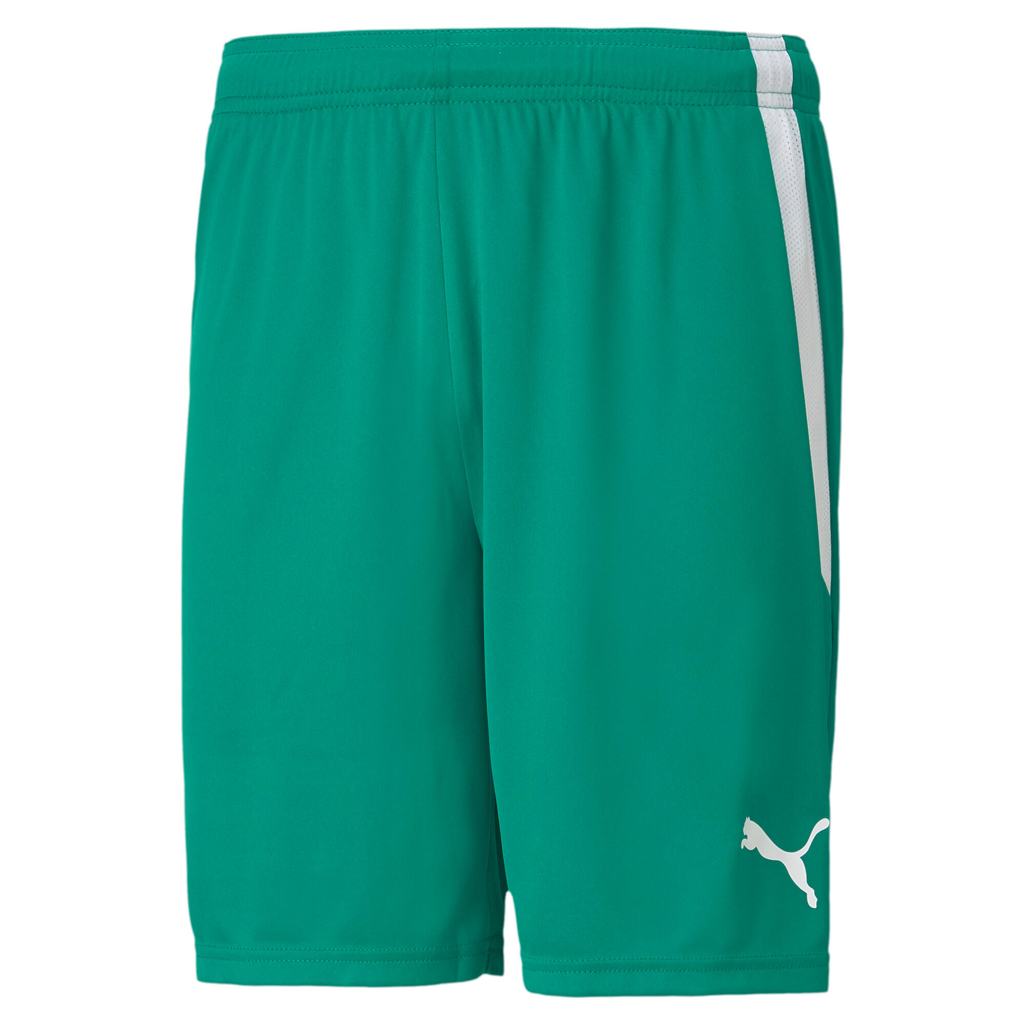 Szorty Puma Team Liga