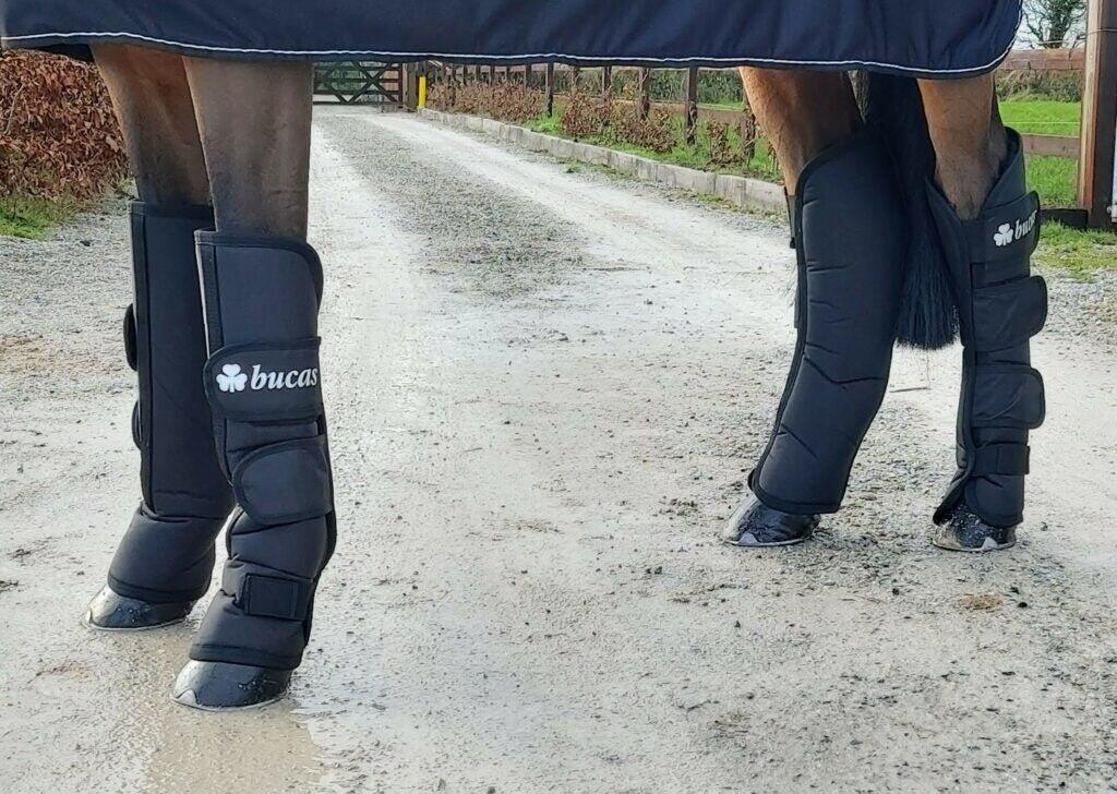Buty stajenne dla koni Bucas 2020