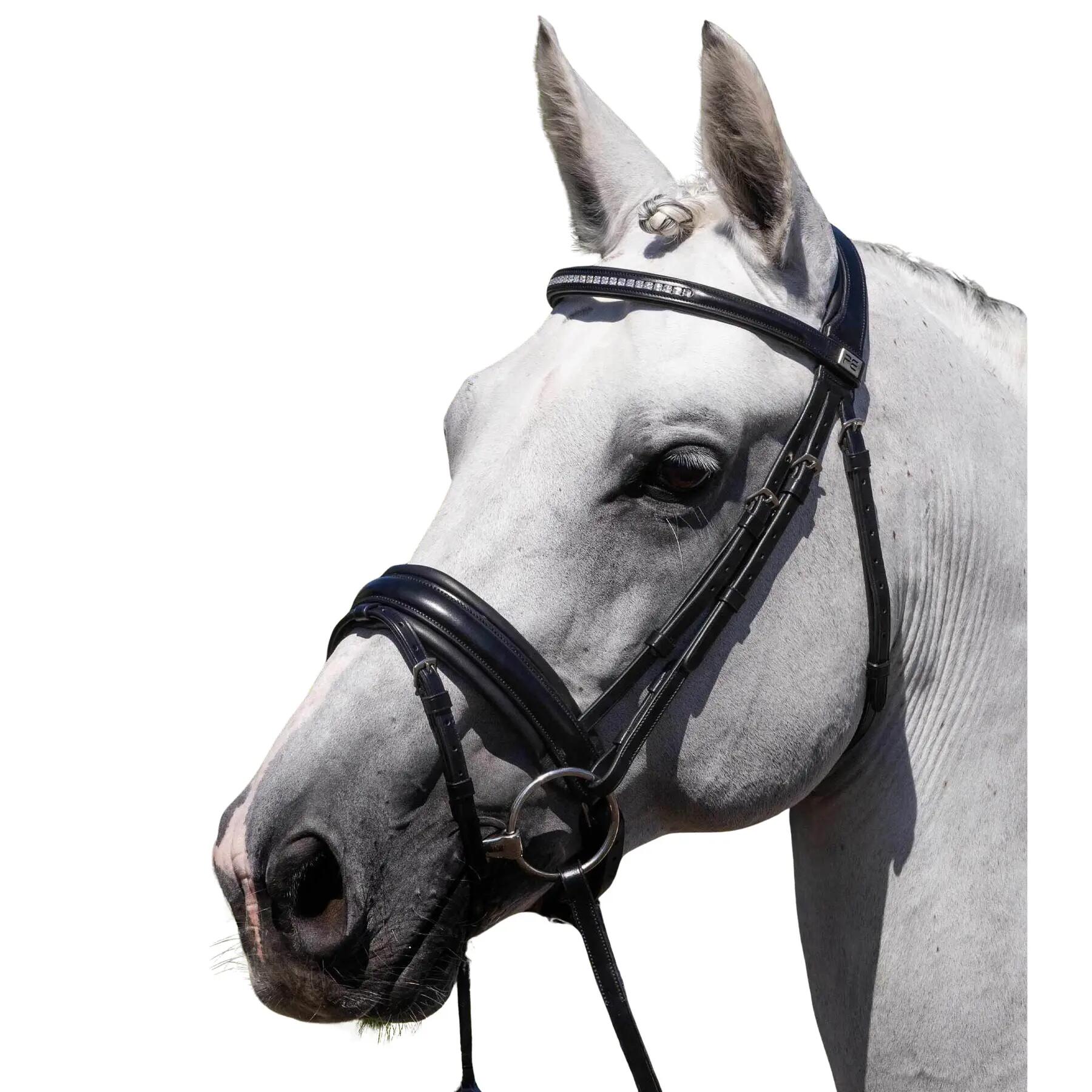 Bryczka anatomiczna Premier Equine Castello