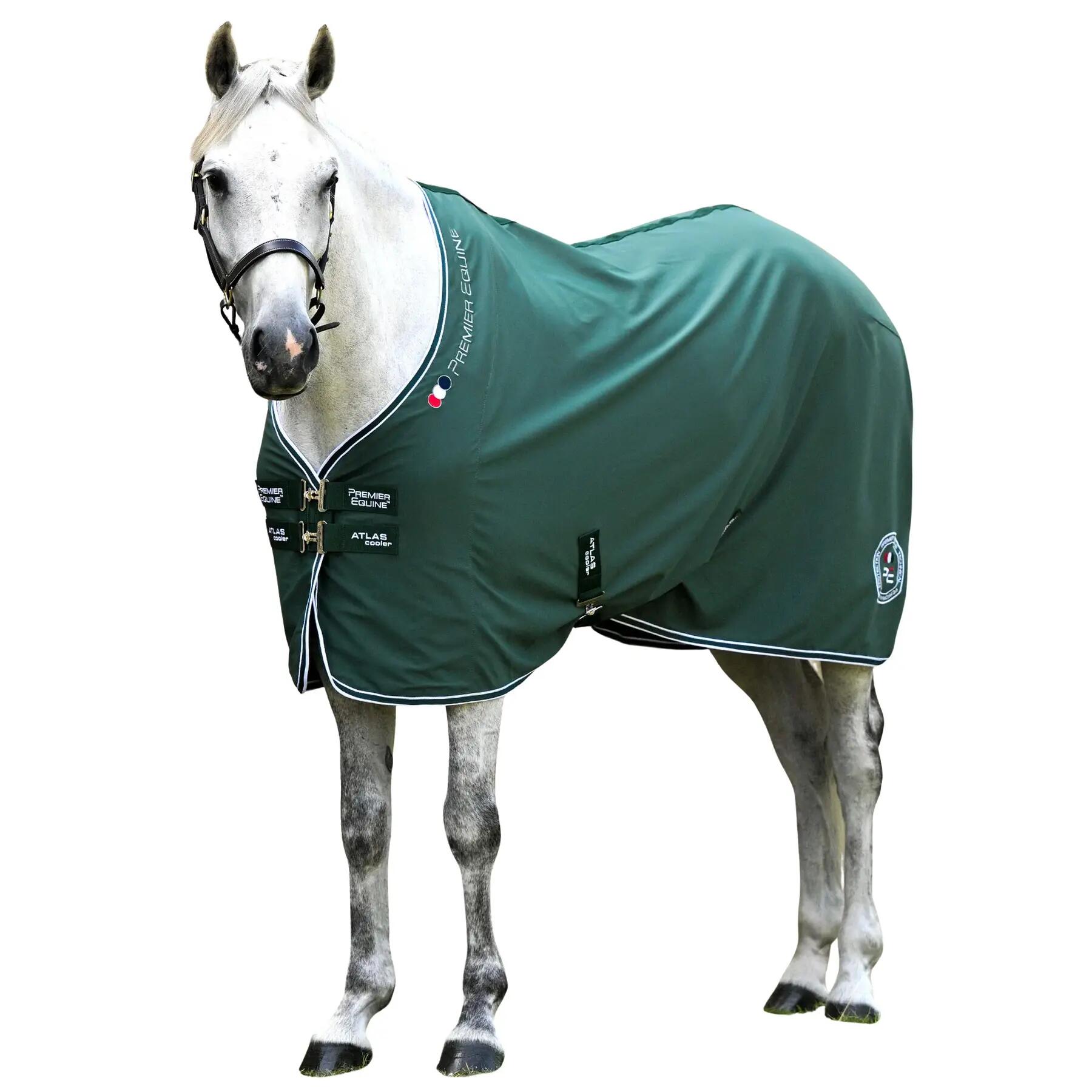 Derka osuszające dla koni Premier Equine Atlas