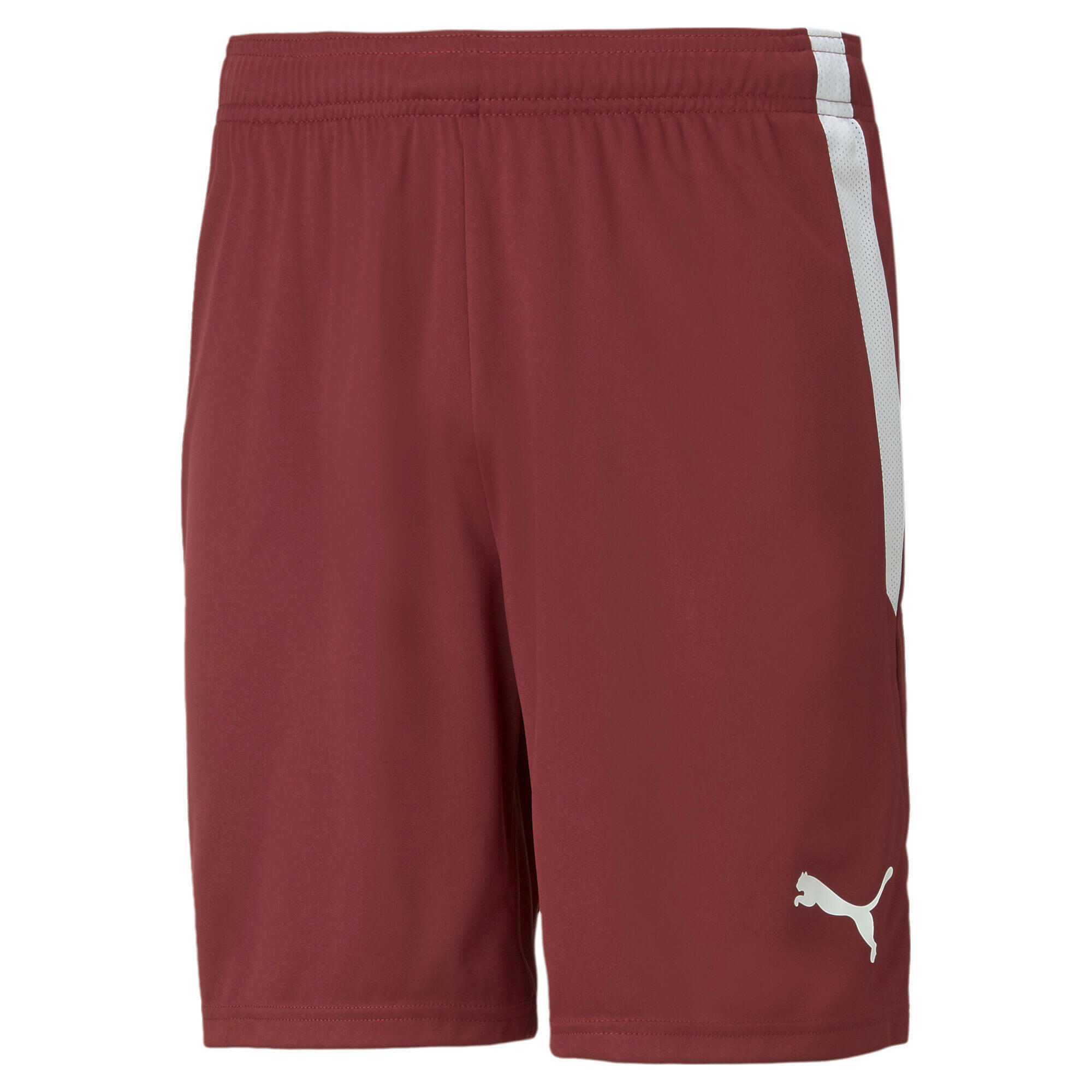 Krótka Puma Team Liga