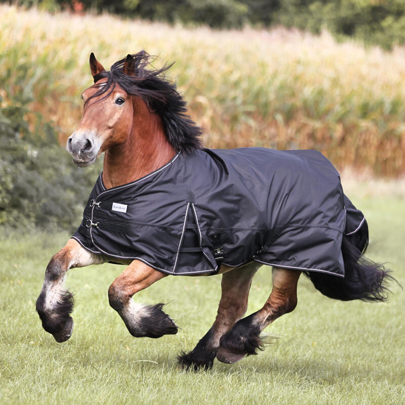 Derka polarowa dla koni Kavalkade Draft Horse