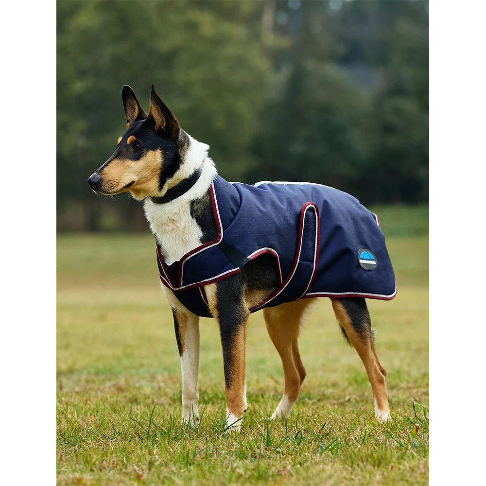 Sierść psa Weatherbeeta Comfitec Premier Deluxe