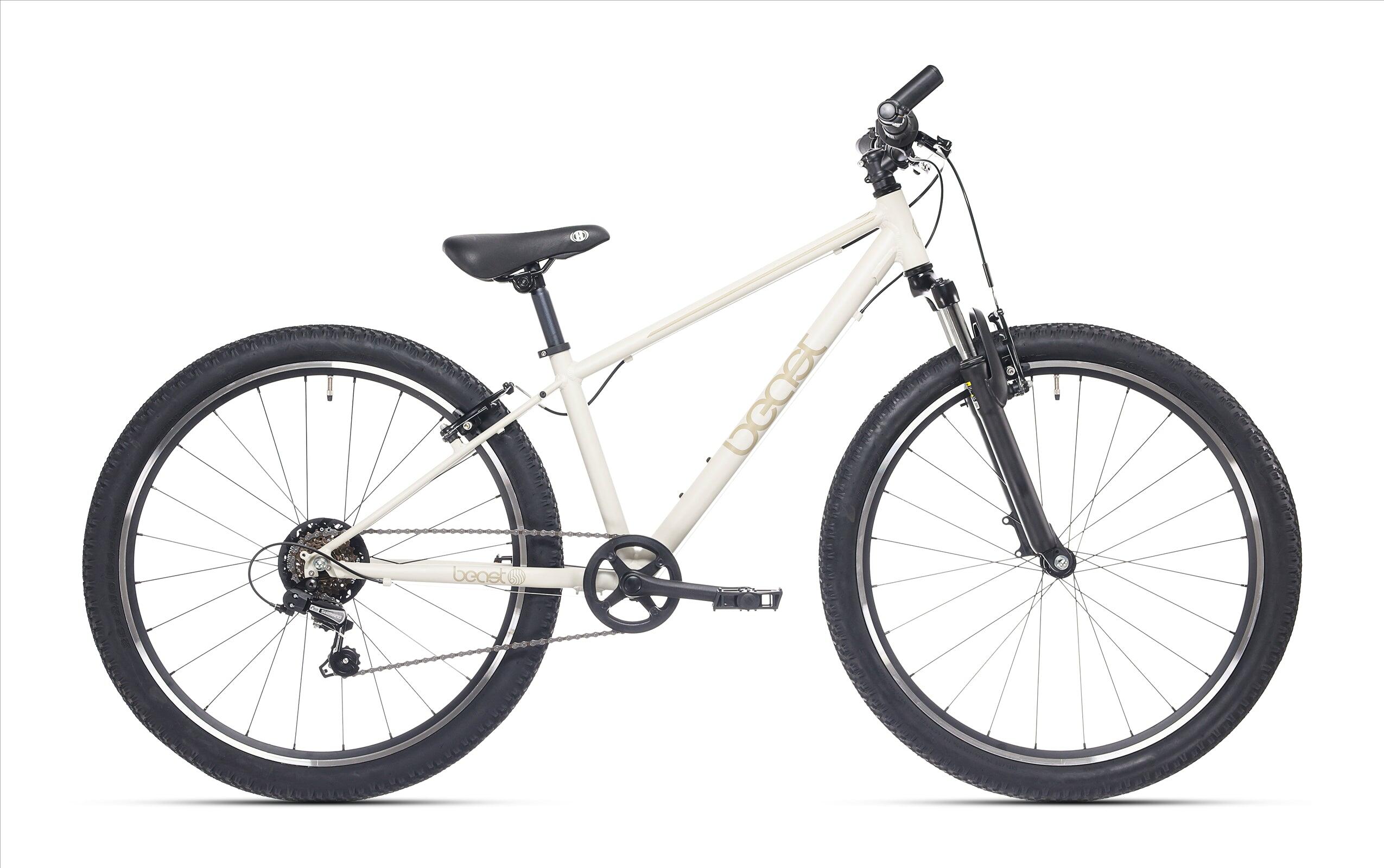 Rower dziecięcy Bikefun Beast 26 cali, 6 biegów Shimano, hamulce V - szary