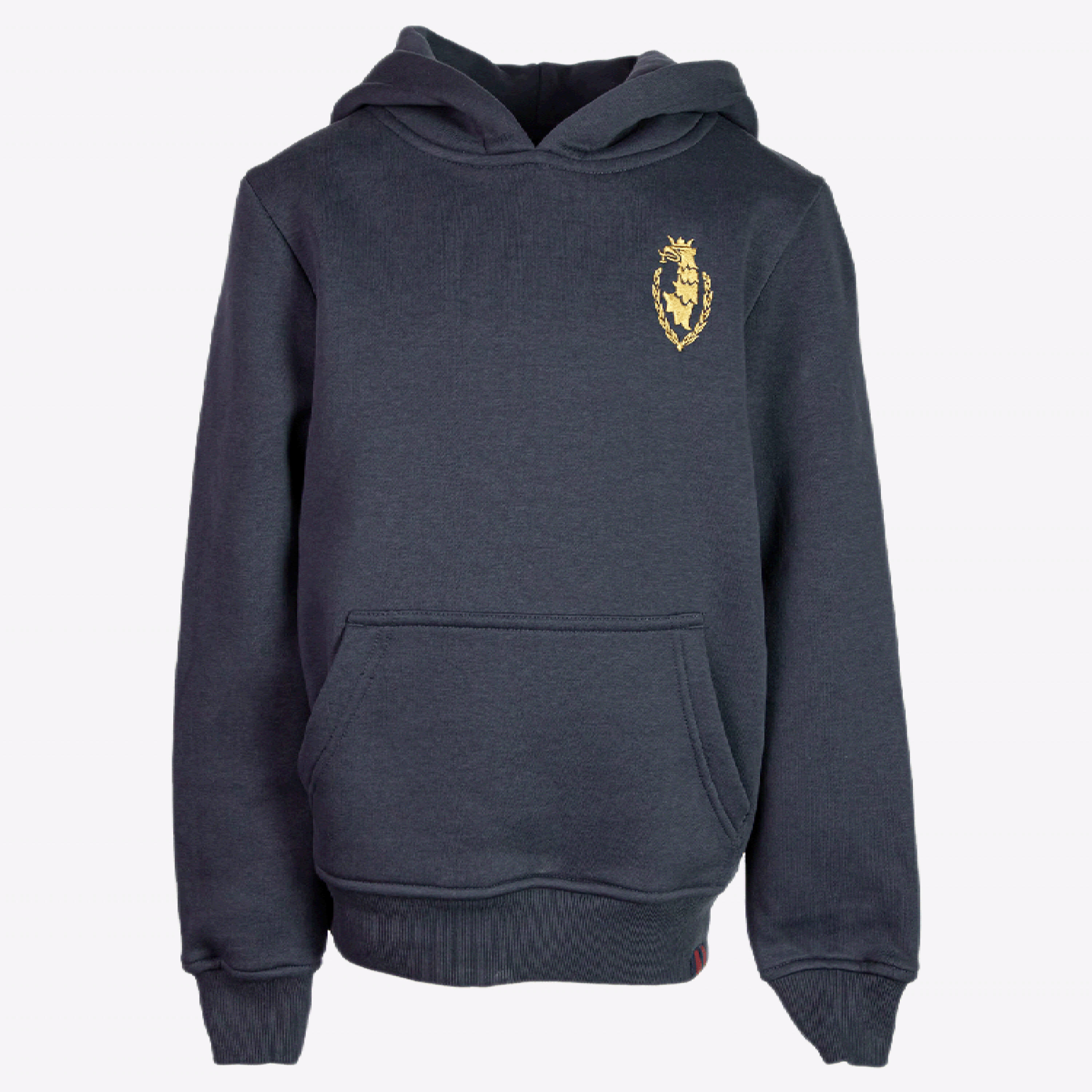 Bluza dla dzieci Pogoń z haftowanym gryfem