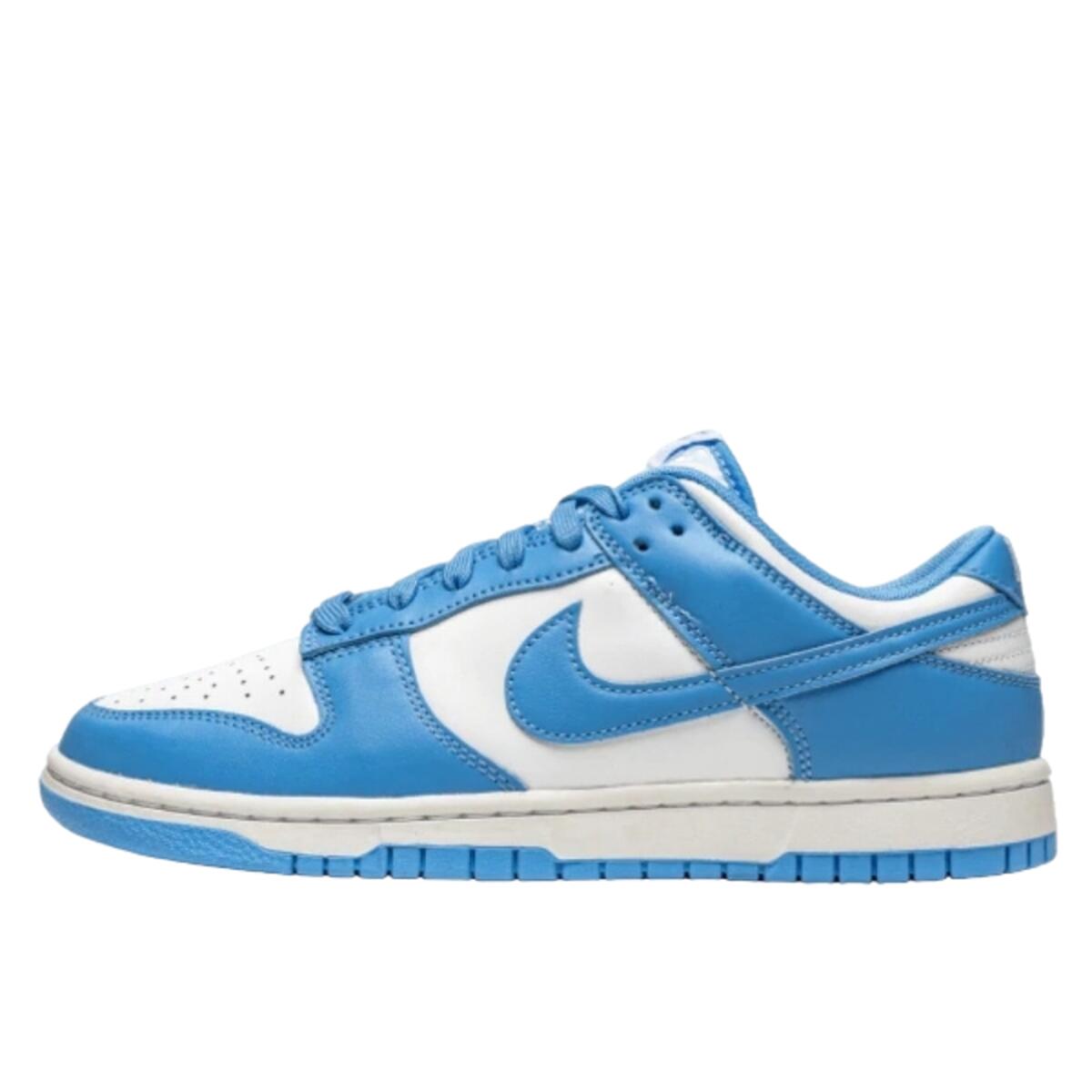 Buty Mężczyzna Nike Dunk Low niebieski