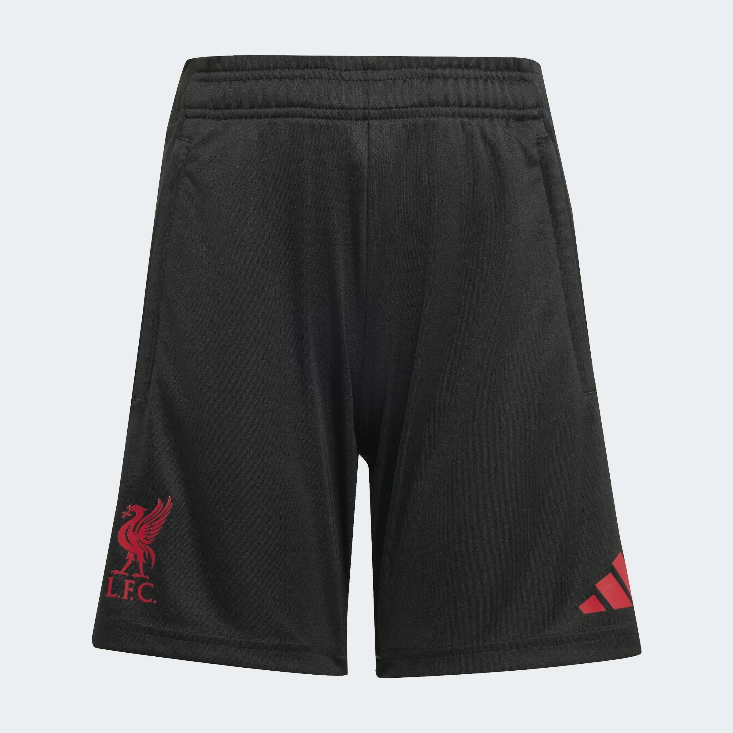 Spodenki treningowe Liverpool FC Tiro 25 Competition