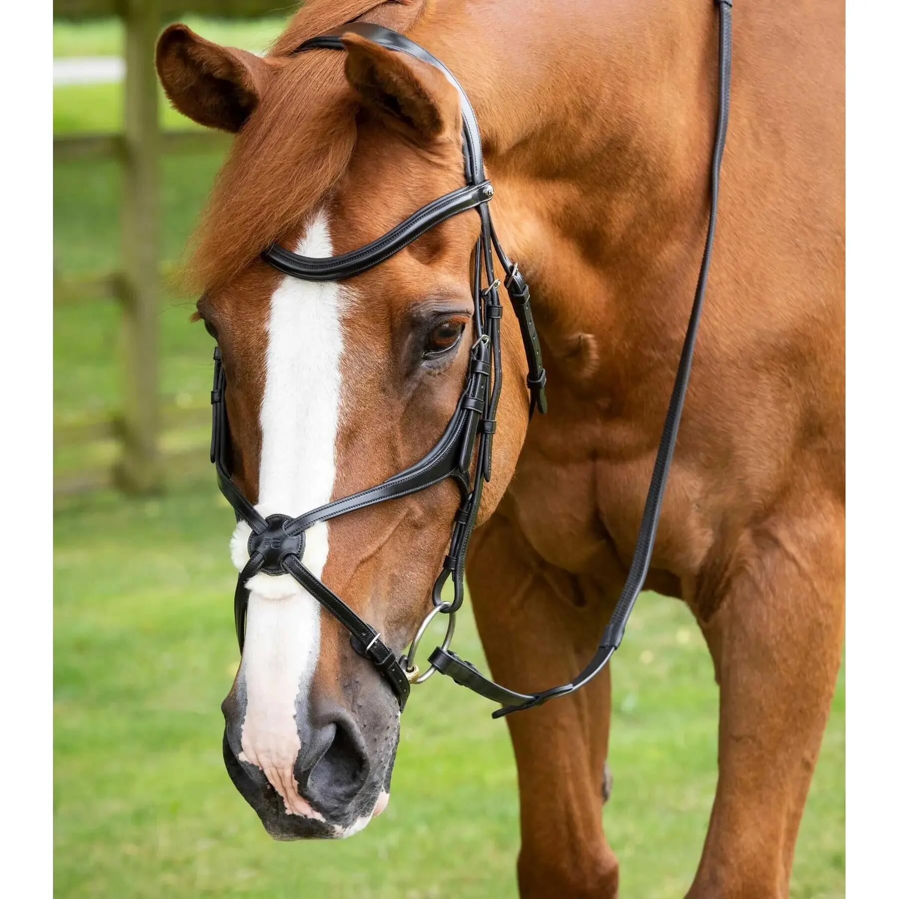 Uzda z nachrapnikiem krzyżowym Premier Equine Glorioso