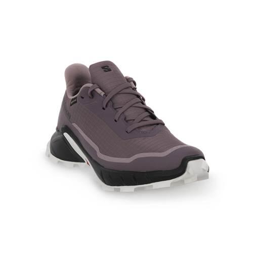 Buty do biegania damskie Salomon Alphacross 5 Gtx