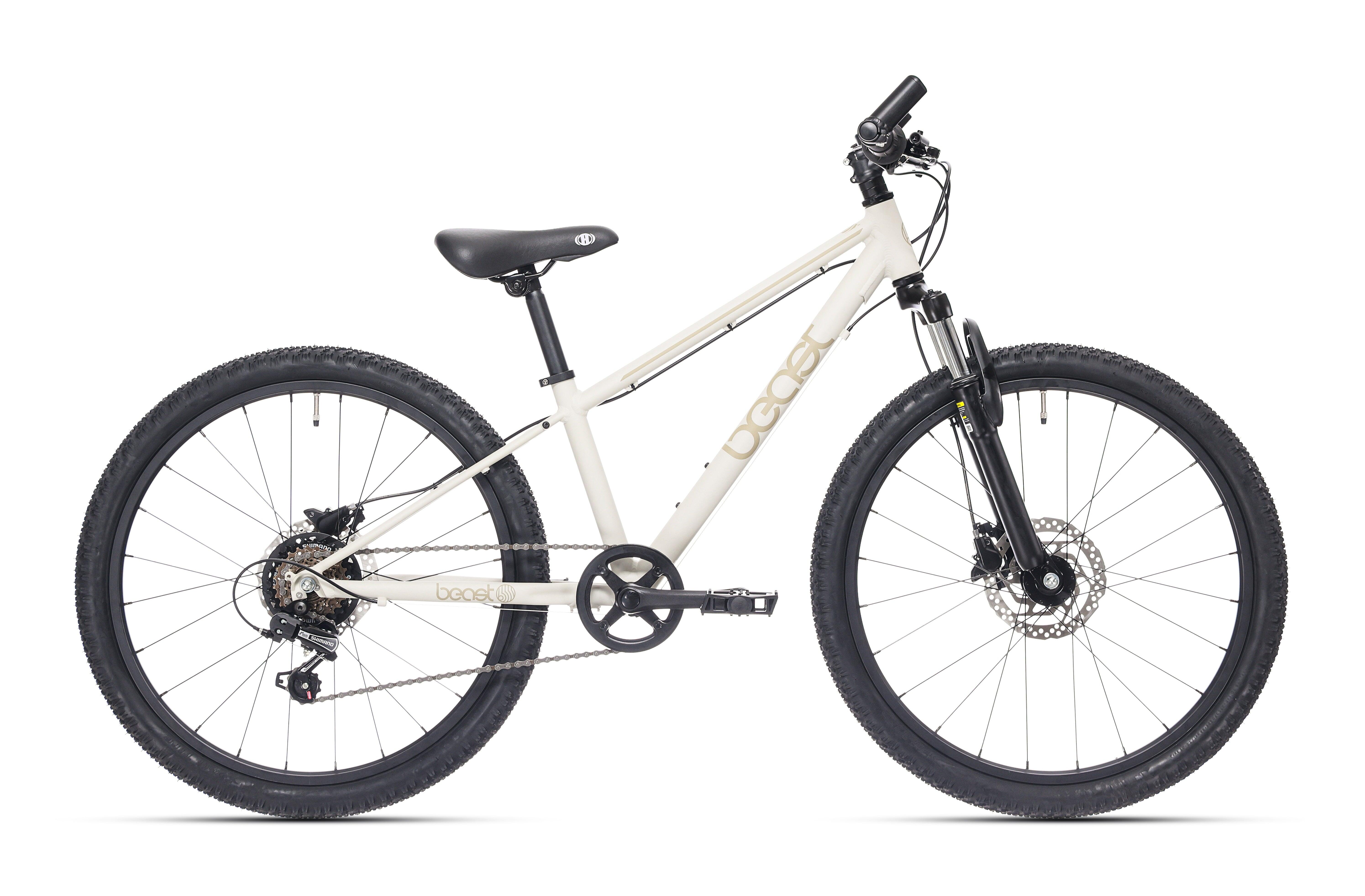 Bikefun Beast rower dziecięcy 24 cale, 6 biegów, szary