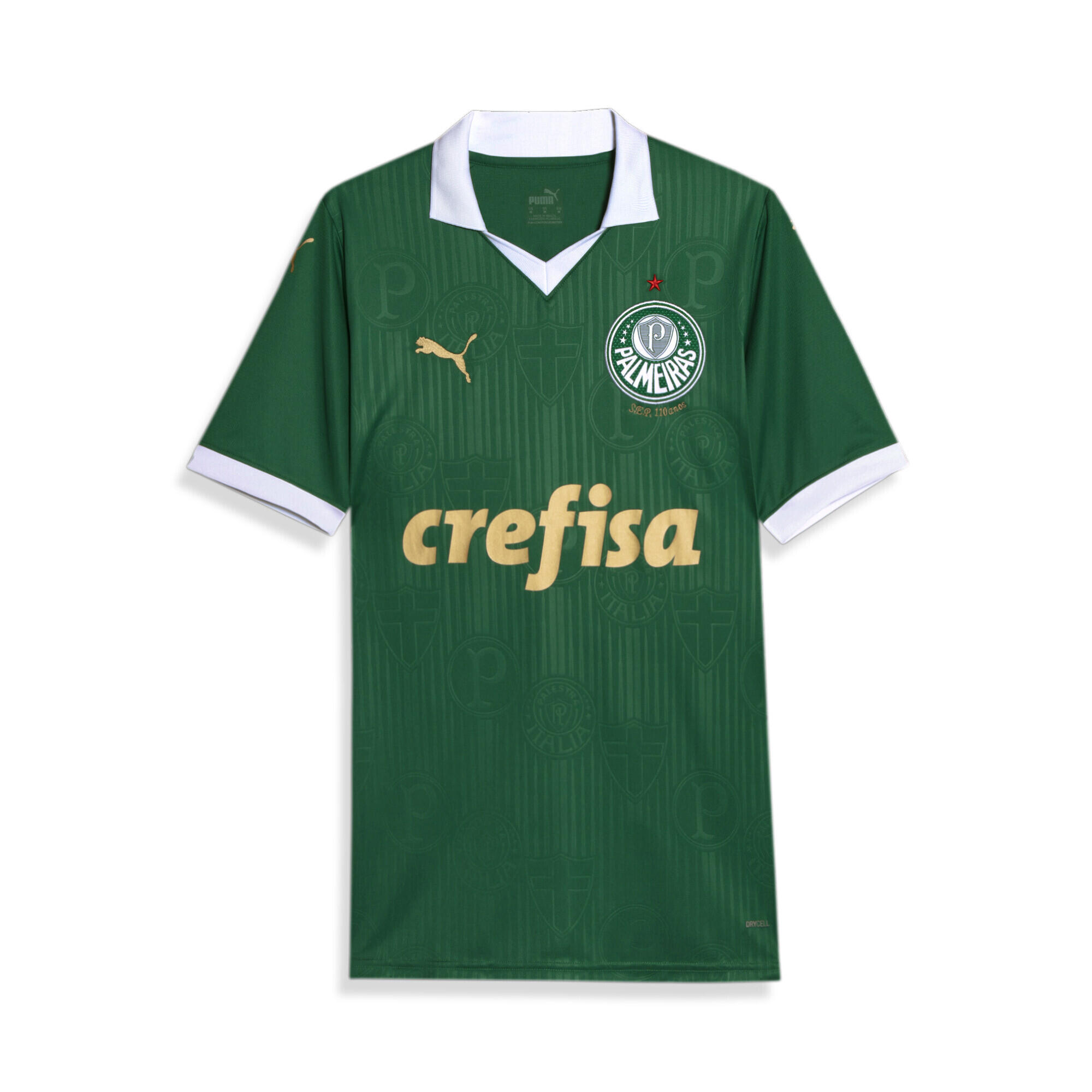 Męska koszulka domowa Palmeiras Fans 2024 PUMA Power Green