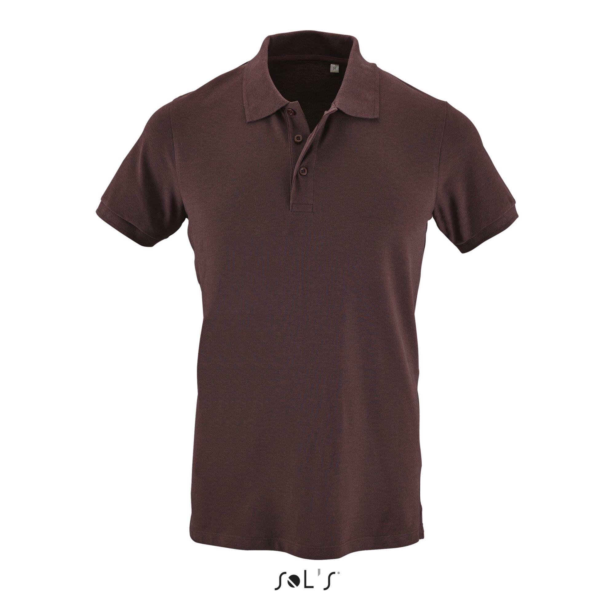 Polo Sol's Phoenix