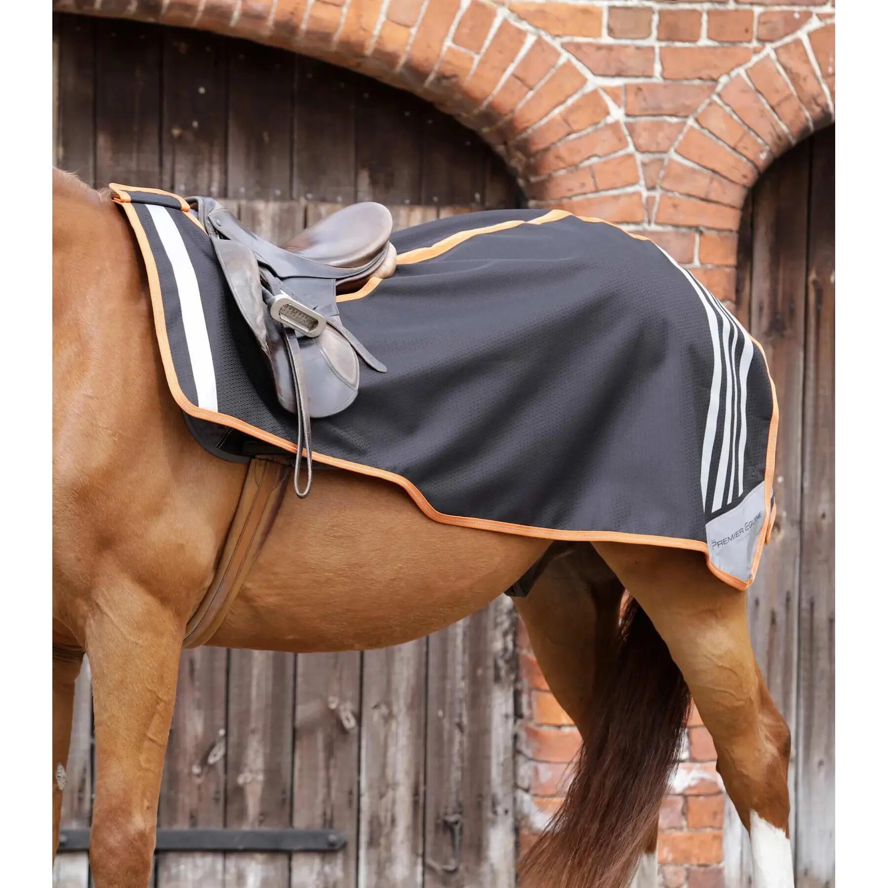 Derka treningowa dla konia Premier Equine Stratus
