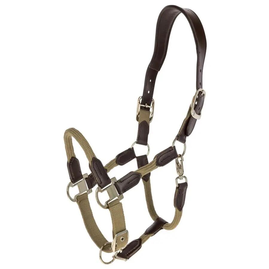 Kantar dla koni Covalliero Cordano Delux