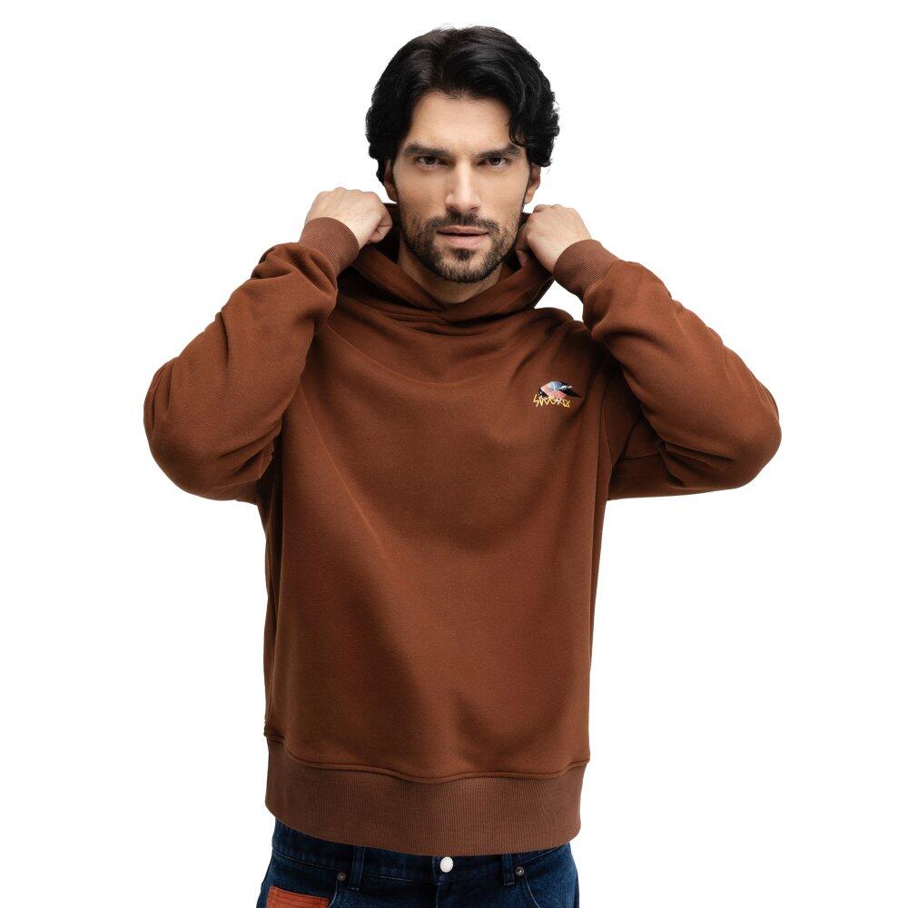 Męska bluza z kapturem Siroko Hoodart Brown