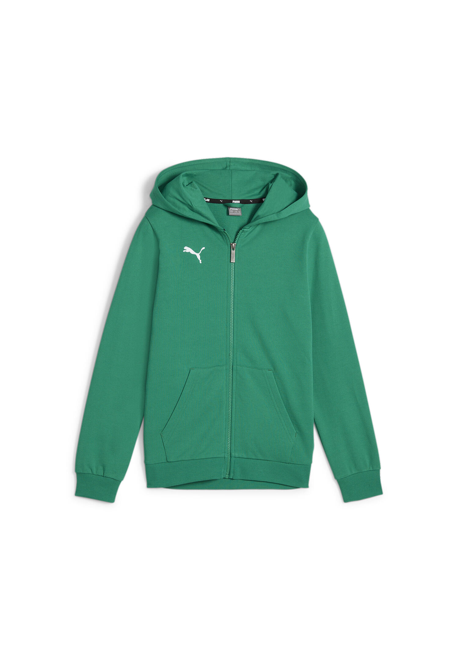 Bluza dla dzieci Puma teamGoal Casuals Hooded