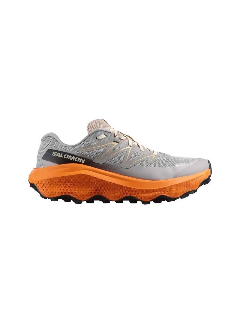 Buty do biegania i trailu męskie Salomon Ultra Flow 2 Szare