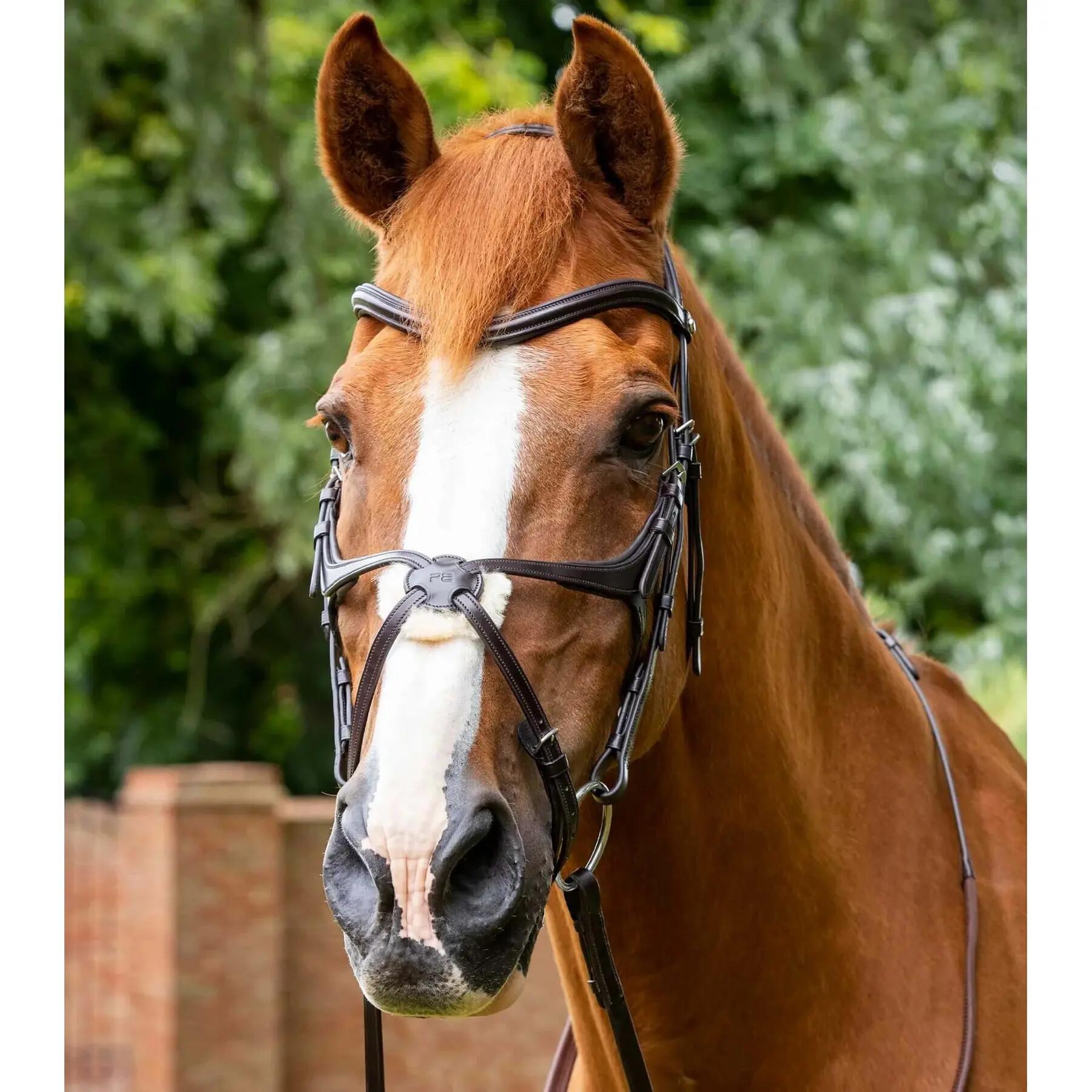 Uzda z nachrapnikiem krzyżowym Premier Equine Glorioso