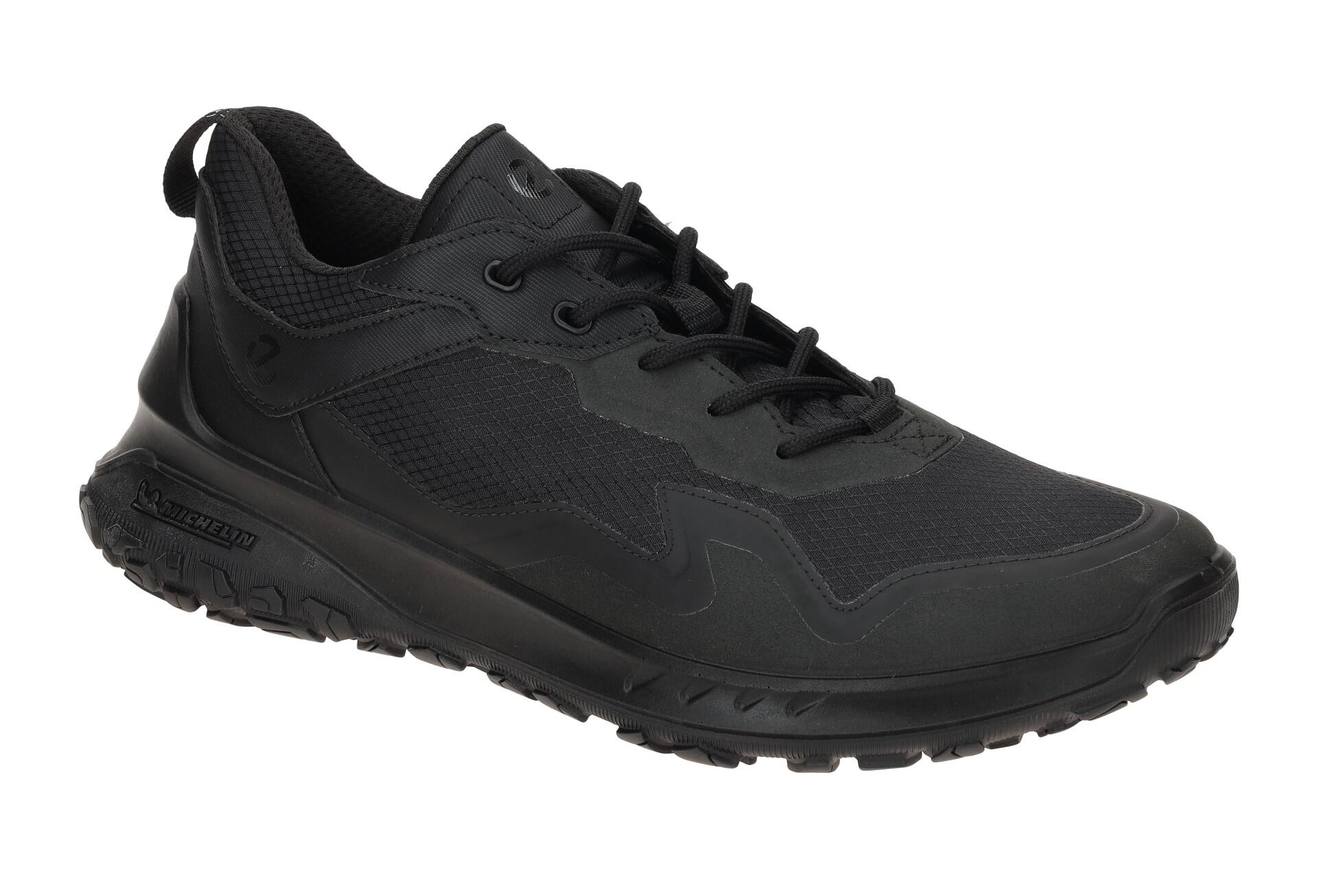 Buty do chodzenia męskie Ecco Irving