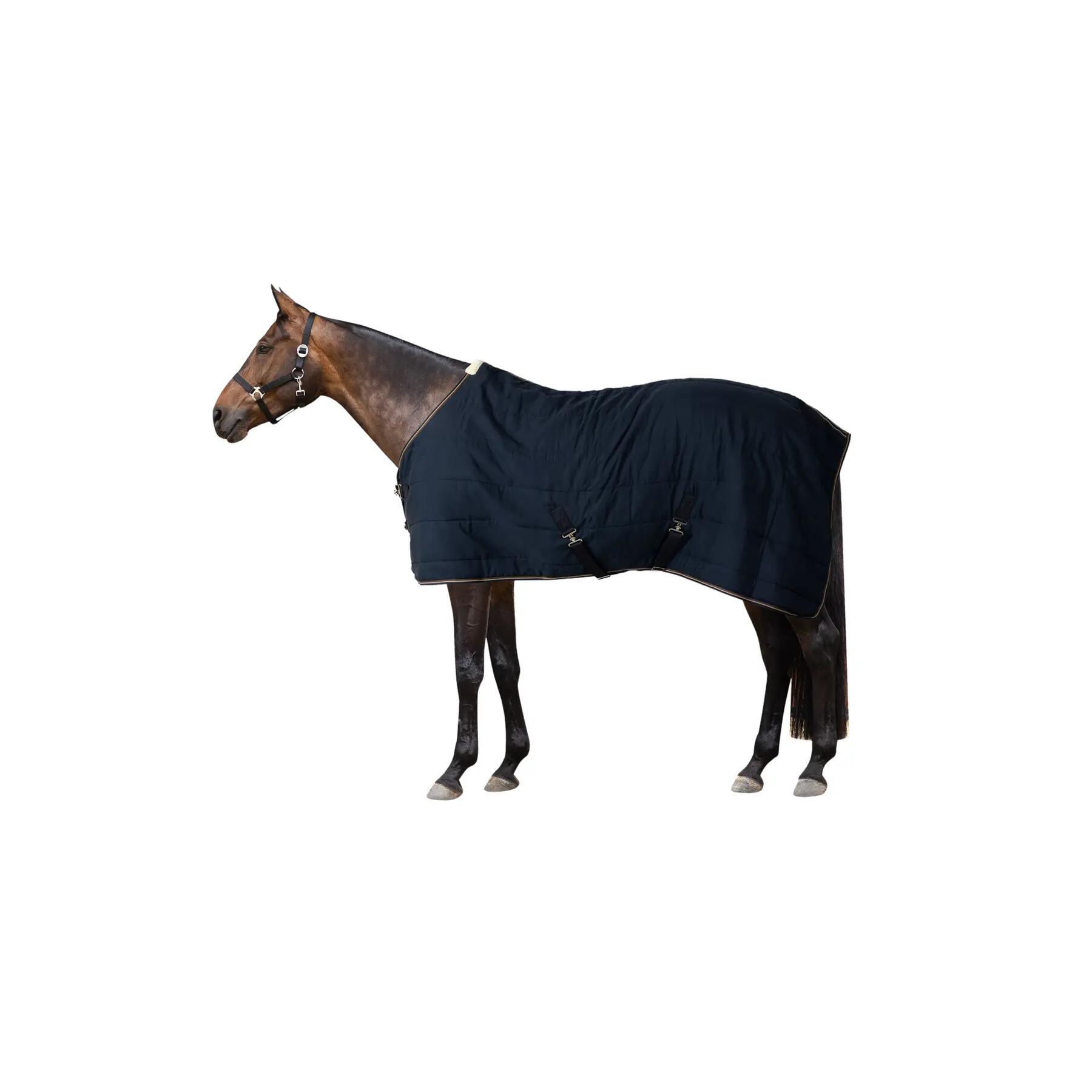 Hobby Horse LeMieux Dream
