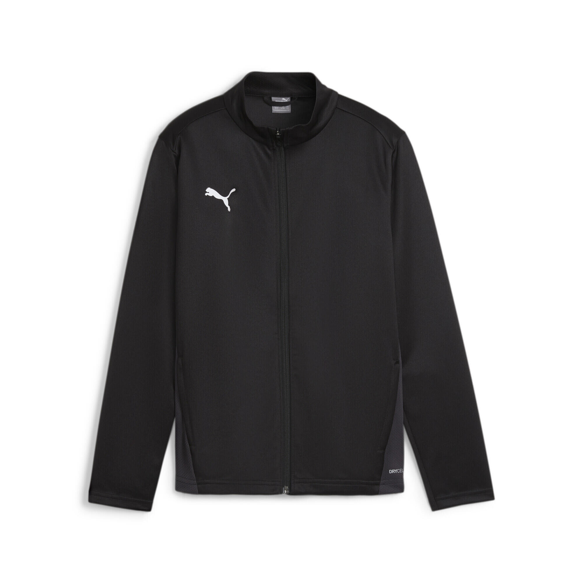 Dziecięca bluza dresowa Puma TeamGoal