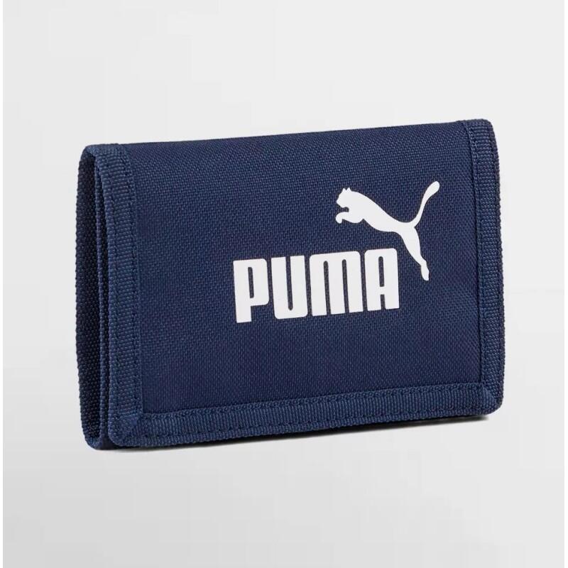 Portfolio Puma Phase