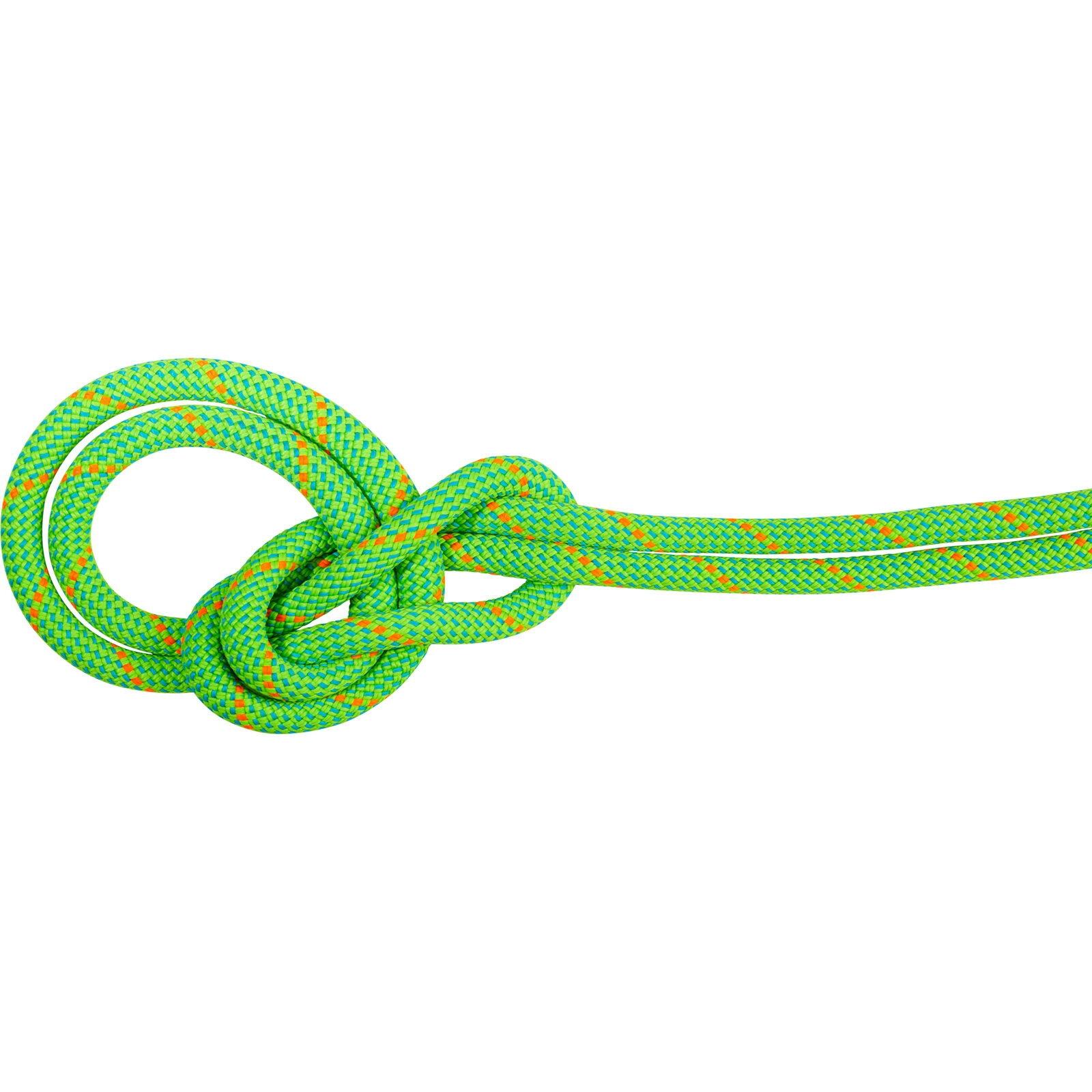 Lina wspinaczkowa 9.5 Crag Eco Dry Rope MAMMUT