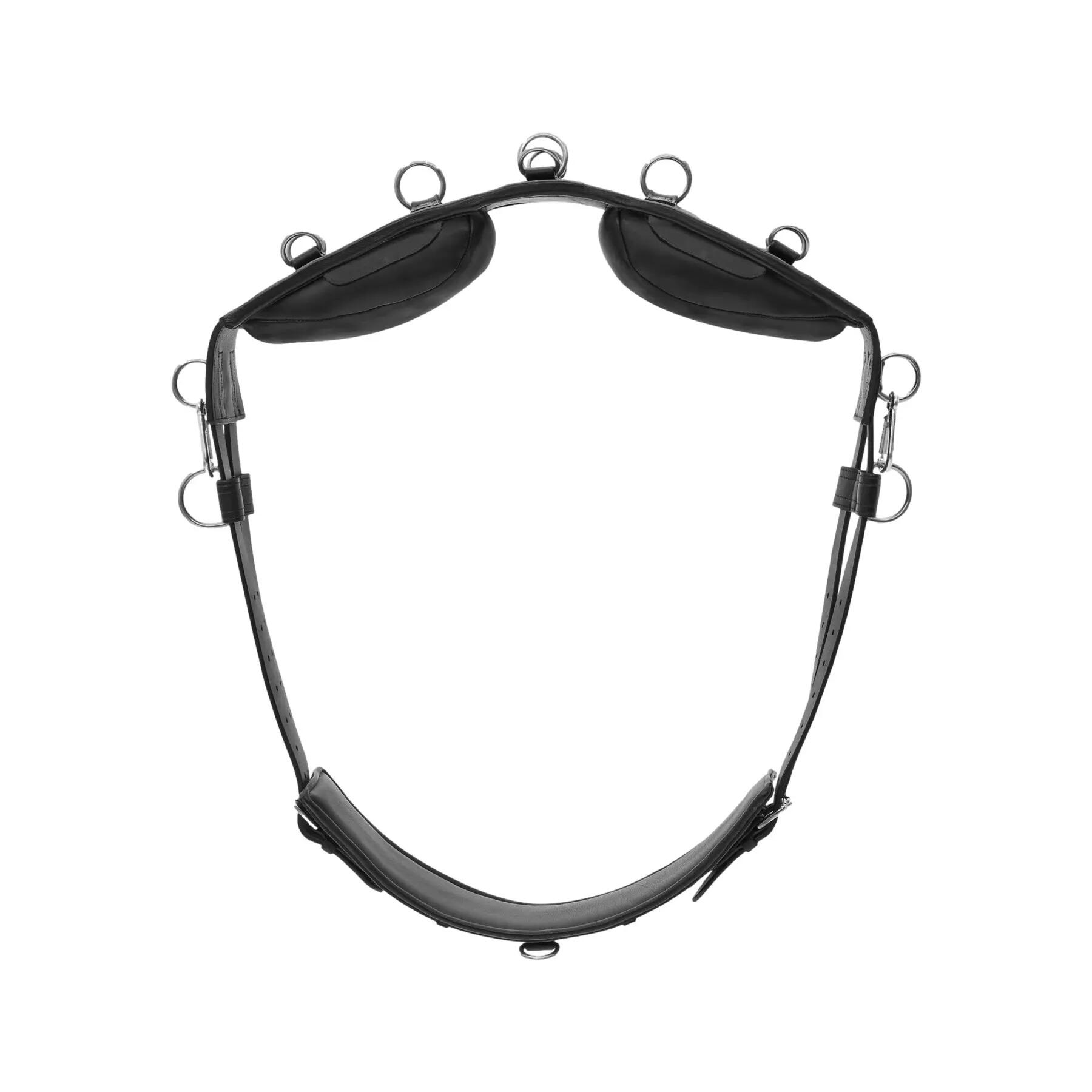 Sursangle Kieffer Equishape Pro