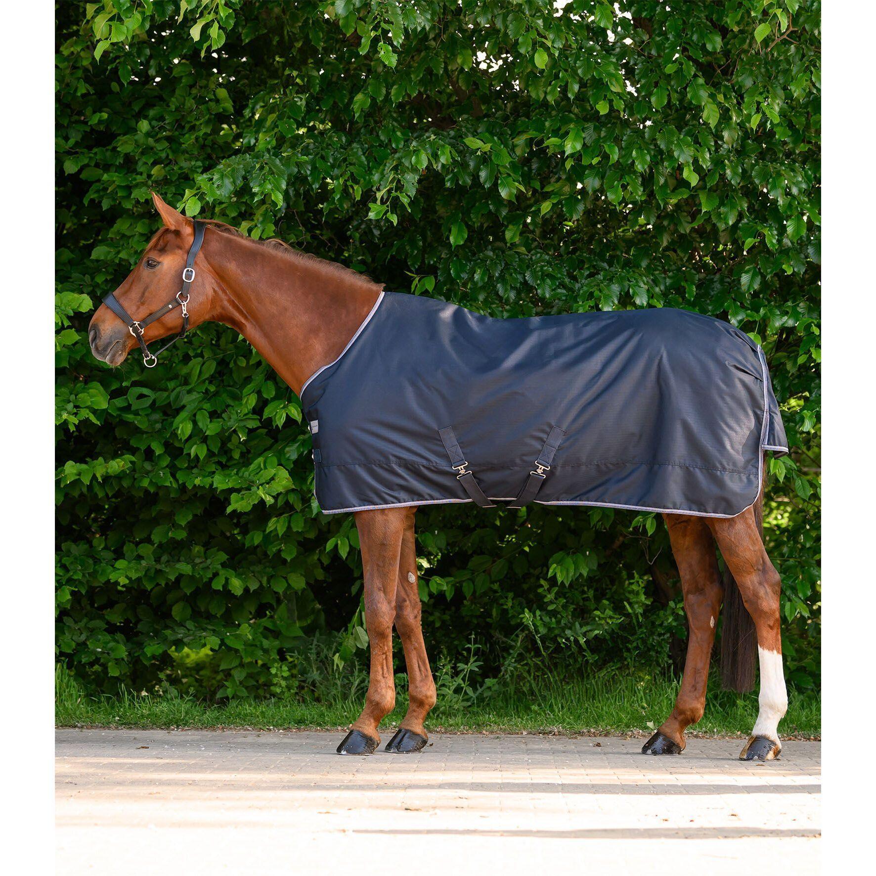 Zewnętrzna derka dla koni Waldhausen Economic 200g