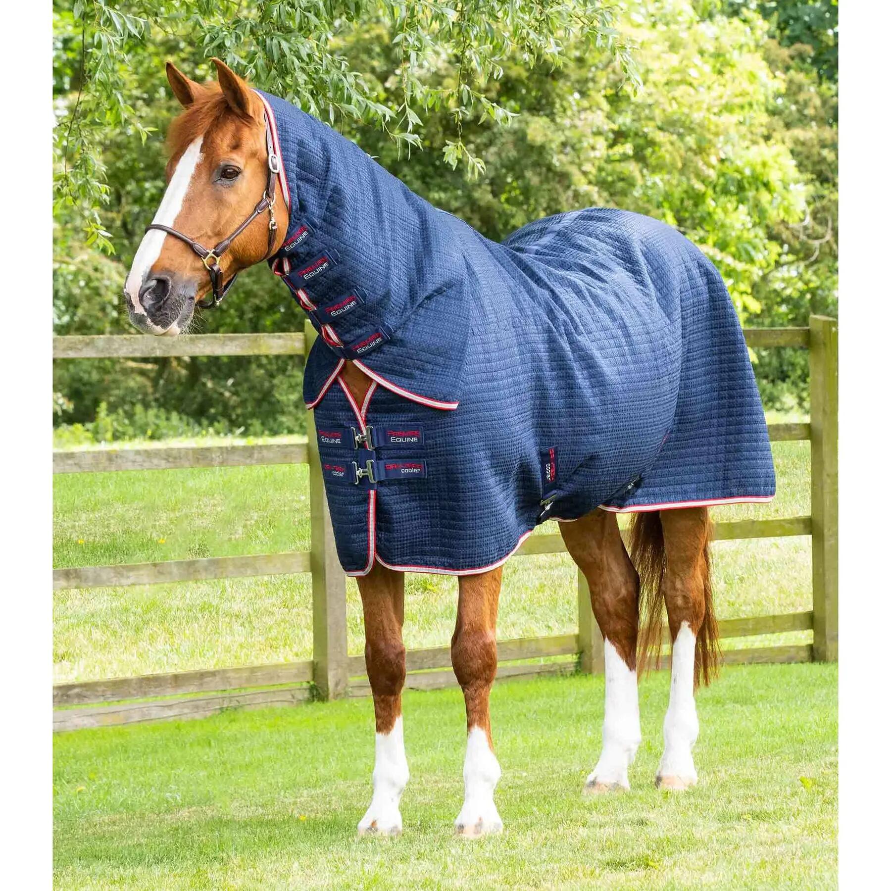 Derka do suszenia z osłoną szyi Premier Equine Dry-Tech